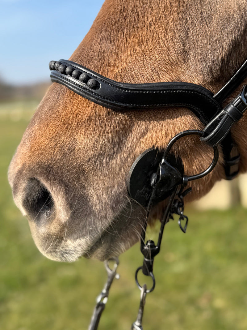 PH deluxe noseband English anatomical black lava