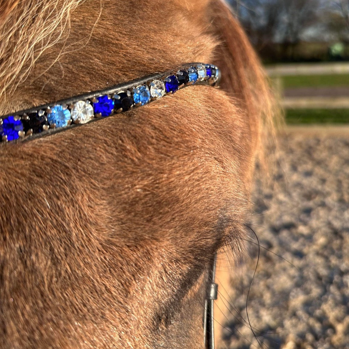 PH deluxe pandebånd “DIAMOND fine” blue - Aríus Icehorse Line