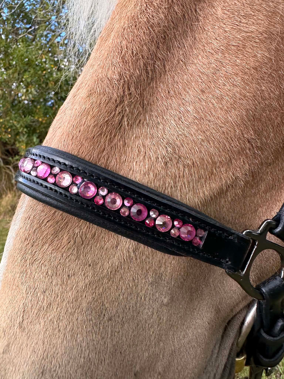 PH deluxe hannoveransk næsebånd moonstone pink