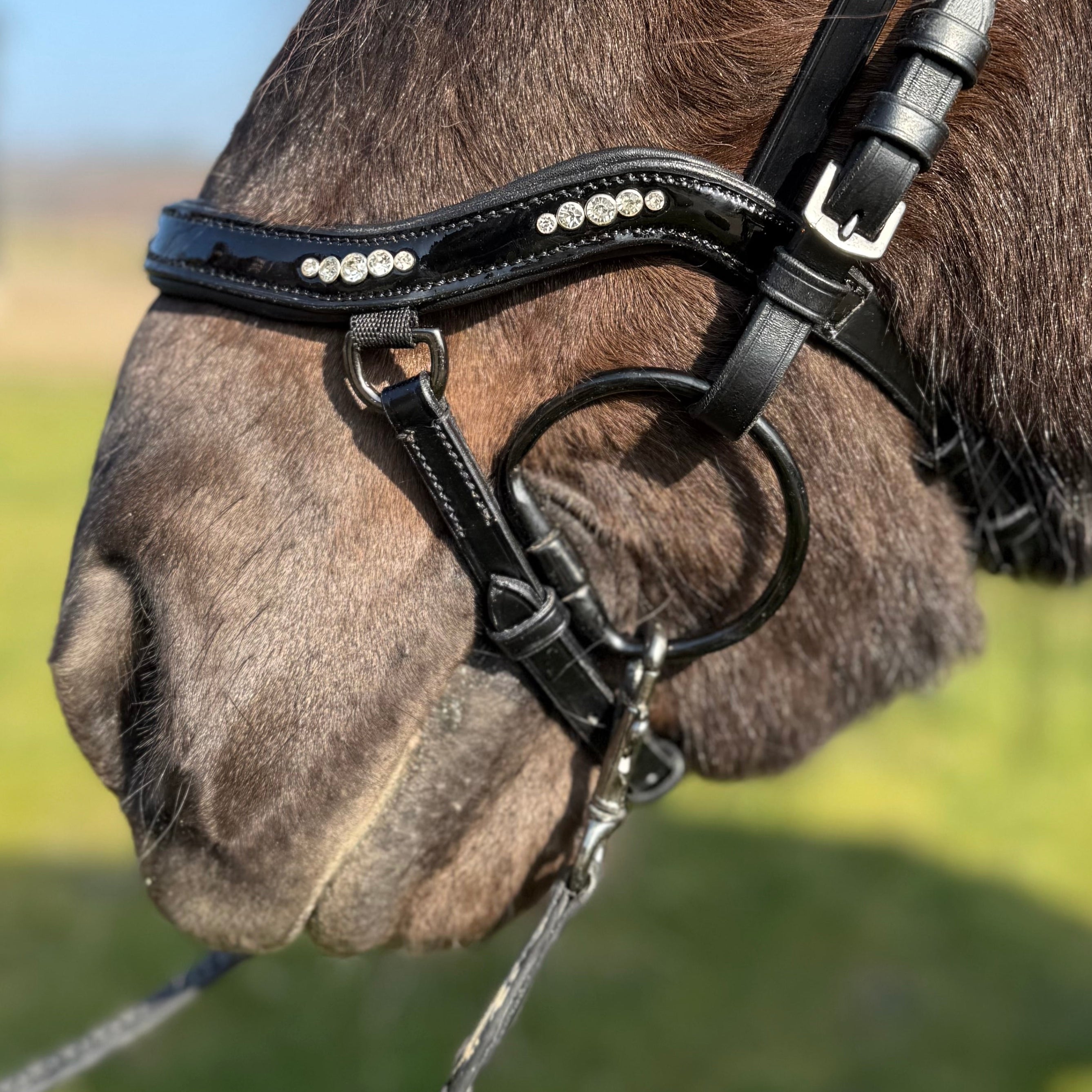 PH deluxe næsebånd "Anatomic" buckle 5 diamonds shine - Aríus Icehorse Line