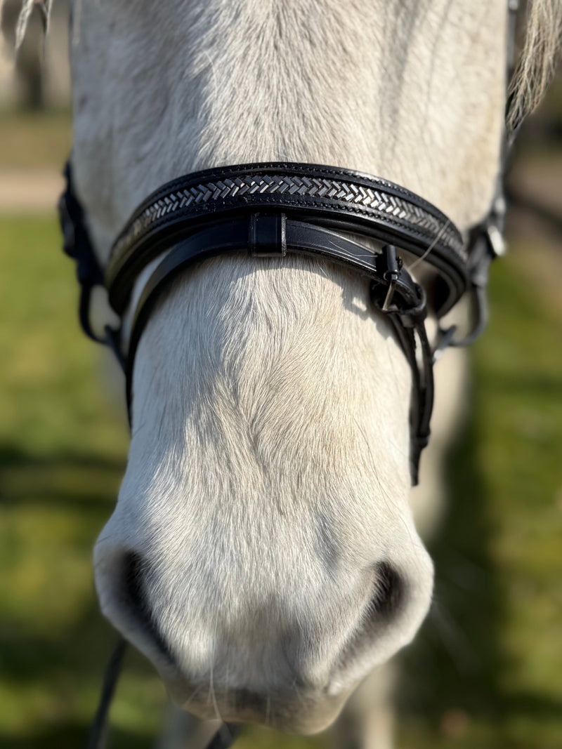 PH deluxe combined noseband arrow dark grey