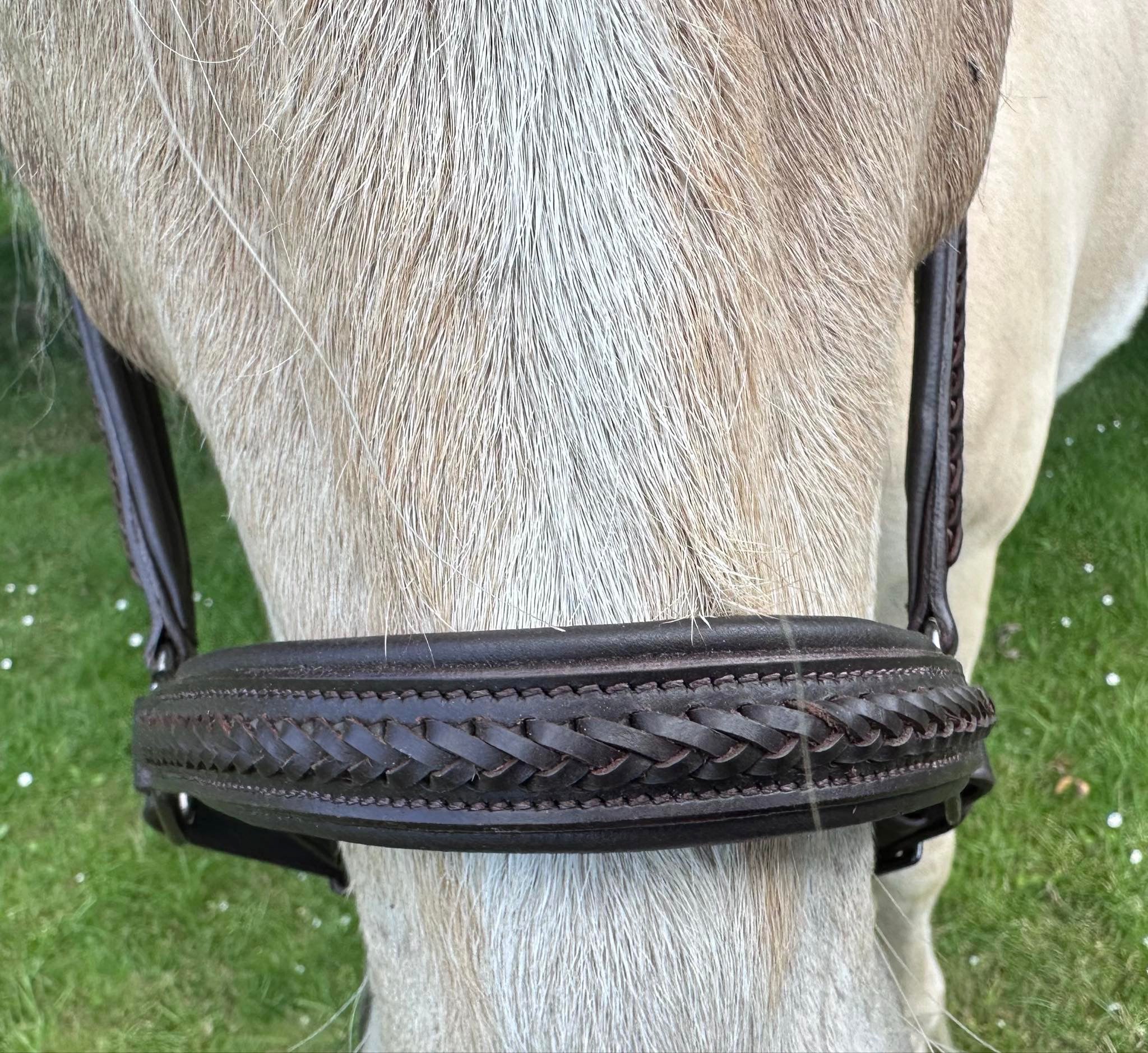 PH grime braid exclusive - brown - Aríus Icehorse Line