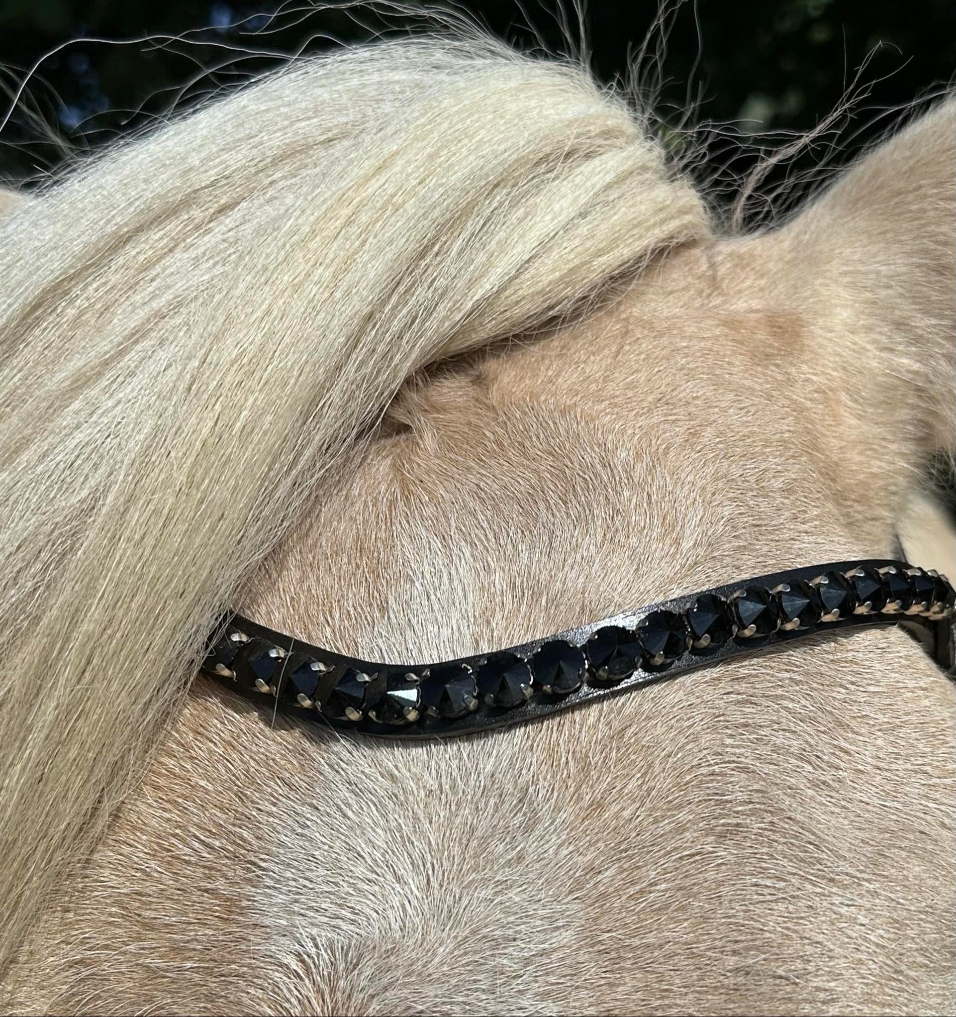 PH deluxe pandebånd “Big diamonds” black - Aríus Icehorse Line