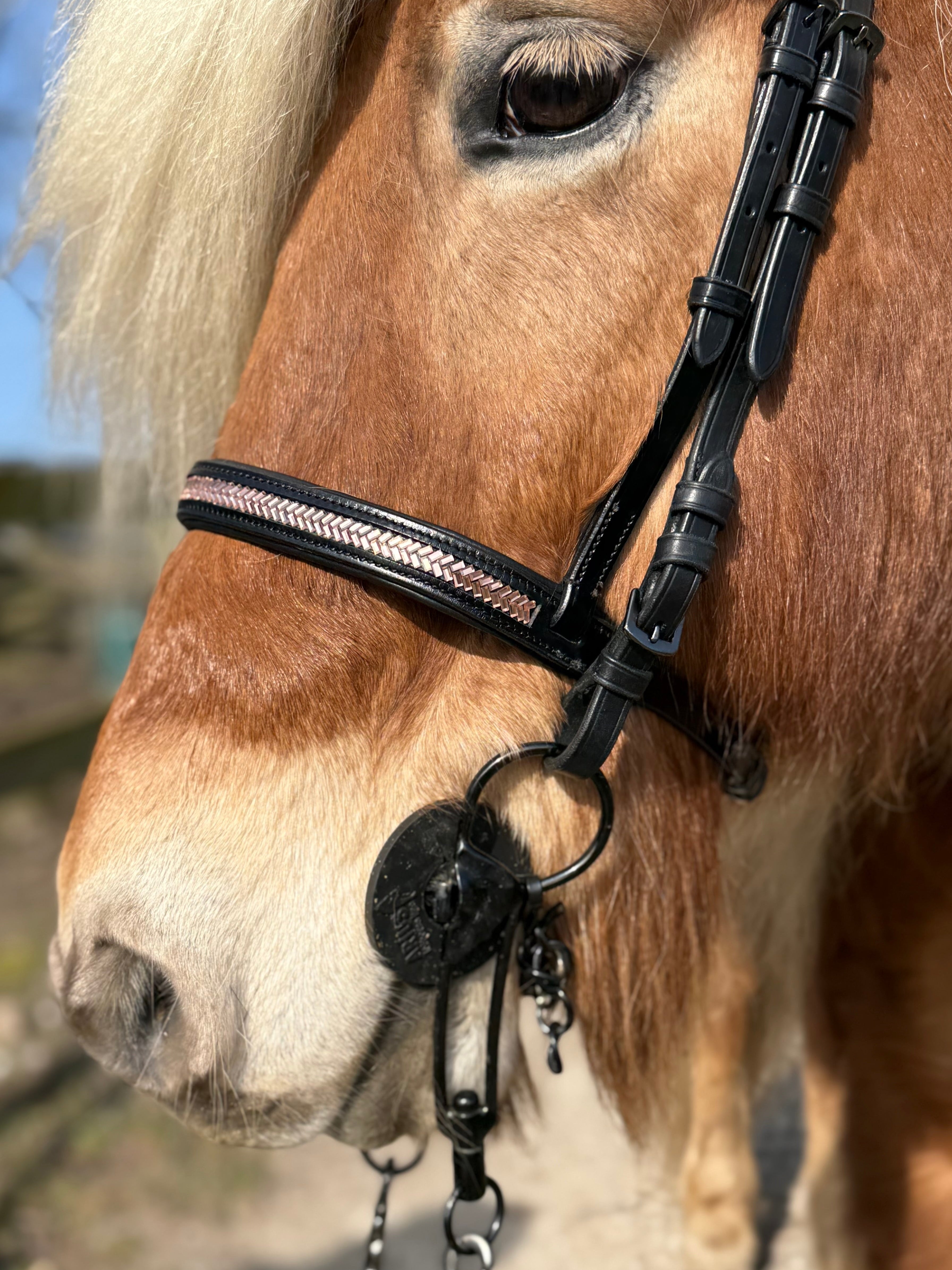 PH deluxe engelsk næserem arrow rosegold - Aríus Icehorse Line