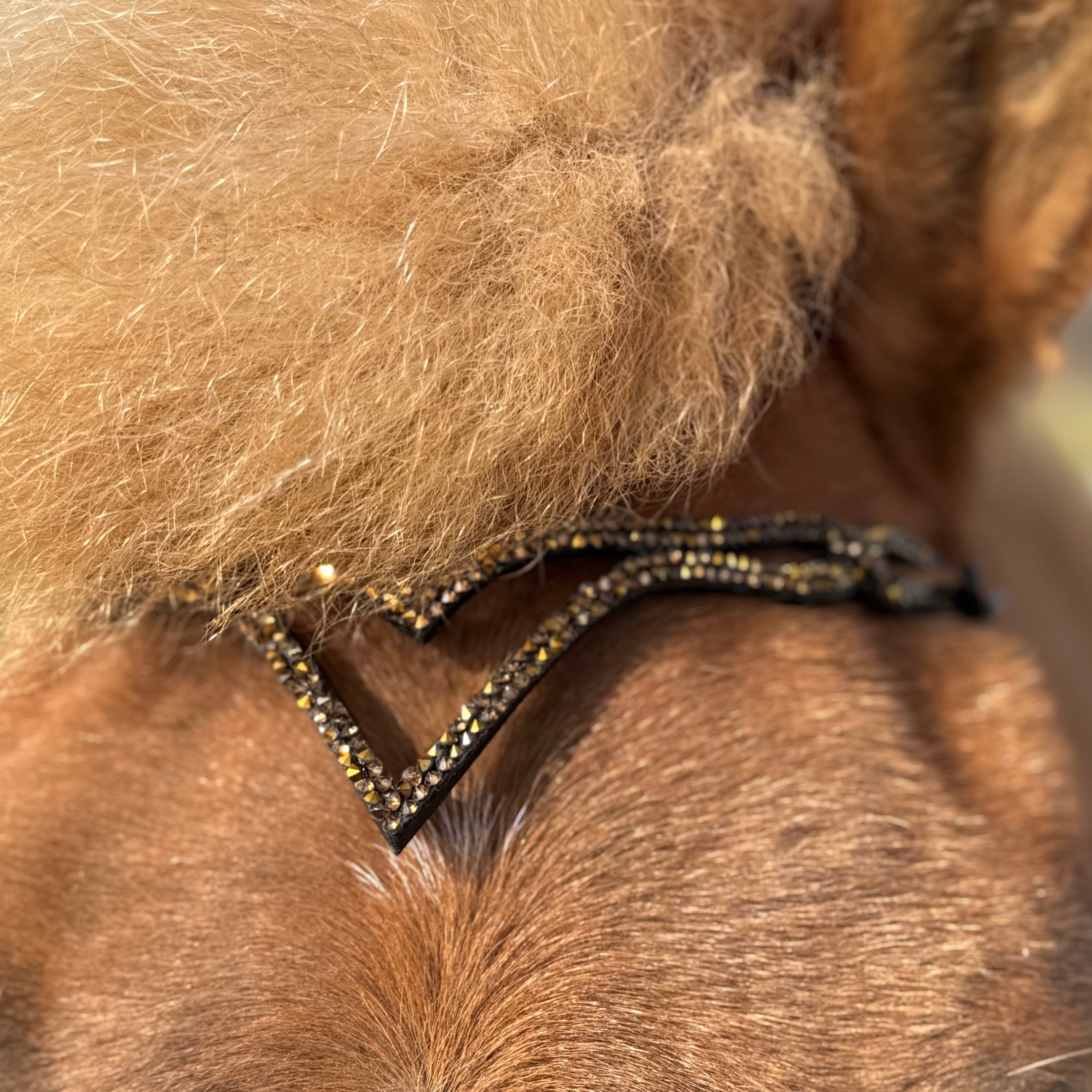 PH deluxe pandebånd Gná rockcrystal gold - Aríus Icehorse Line