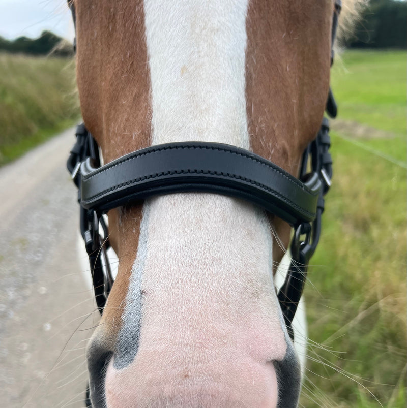 PH deluxe noseband soft "Anatomic" buckle