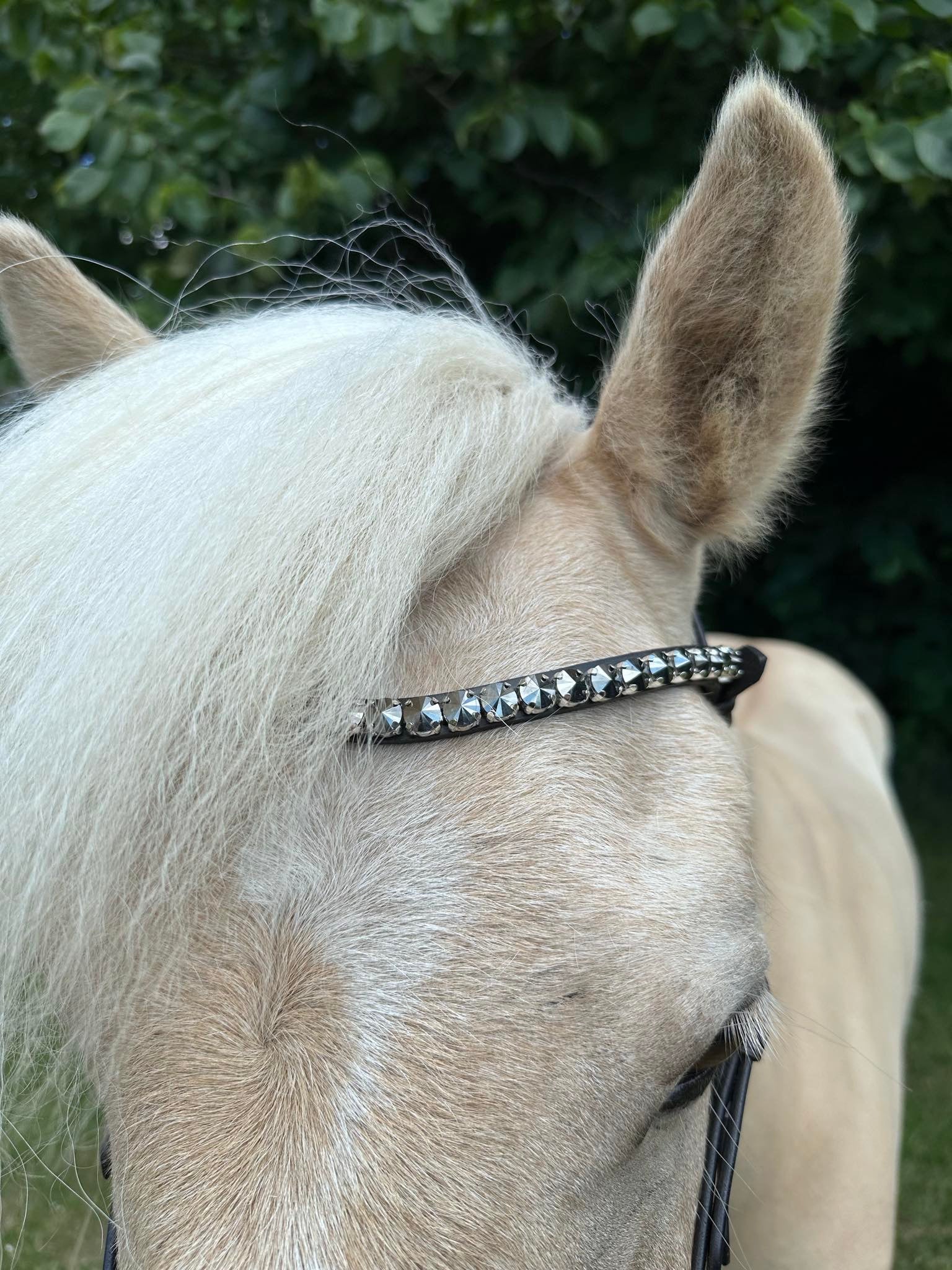 PH deluxe pandebånd “Big diamonds” silver - Aríus Icehorse Line