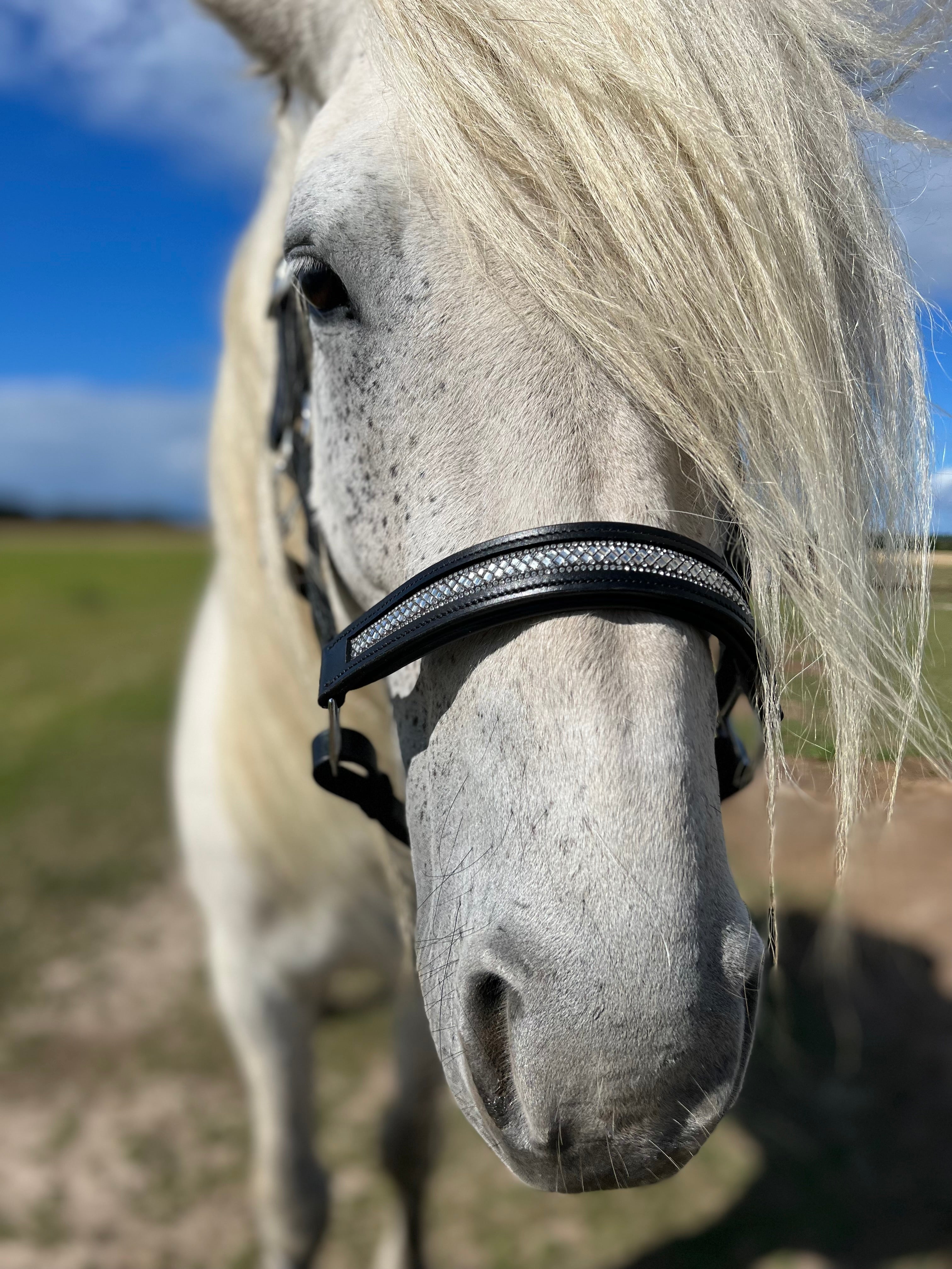 PH grime "diamond glitter" - Aríus Icehorse Line