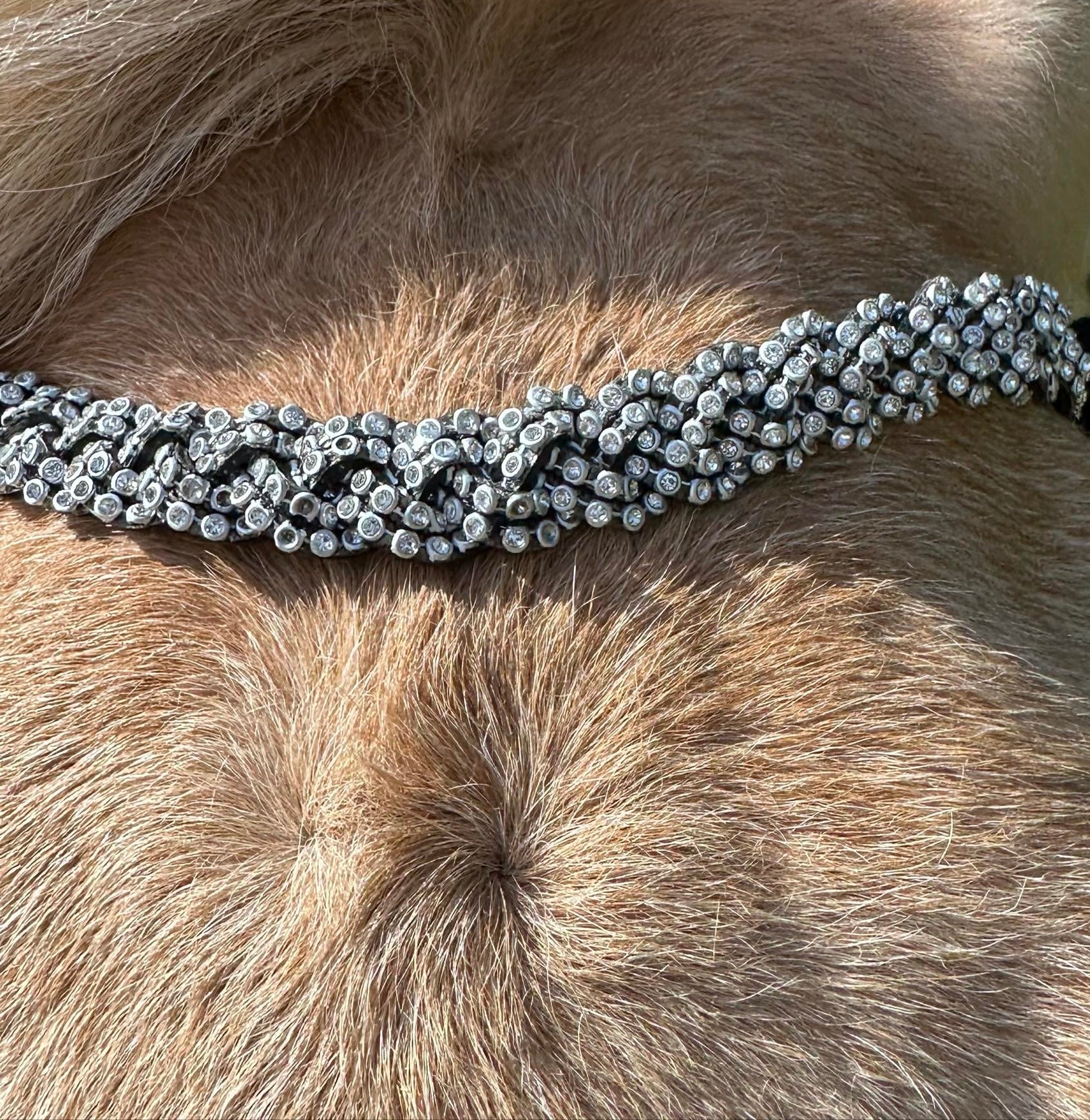 PH deluxe pandebånd diamond braid white - Aríus Icehorse Line