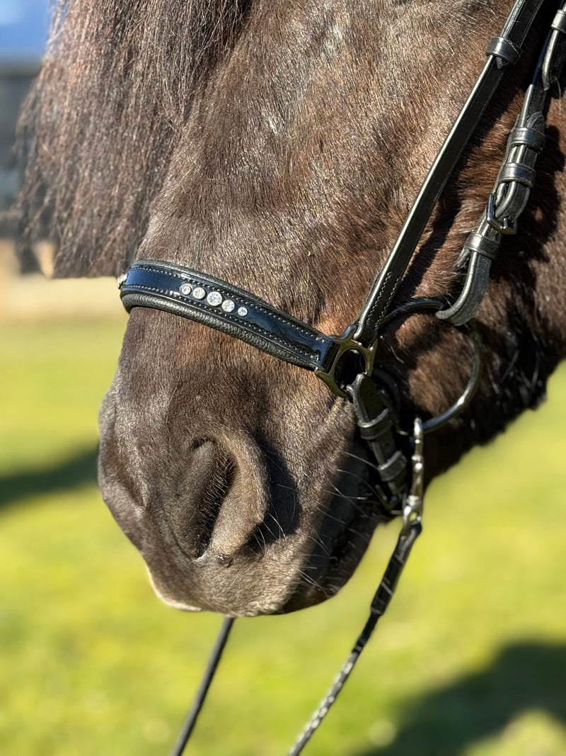 PH deluxe Hannoveranian noseband "5 DIAMONDs" shine