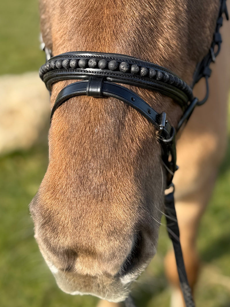 PH deluxe combined noseband black lava