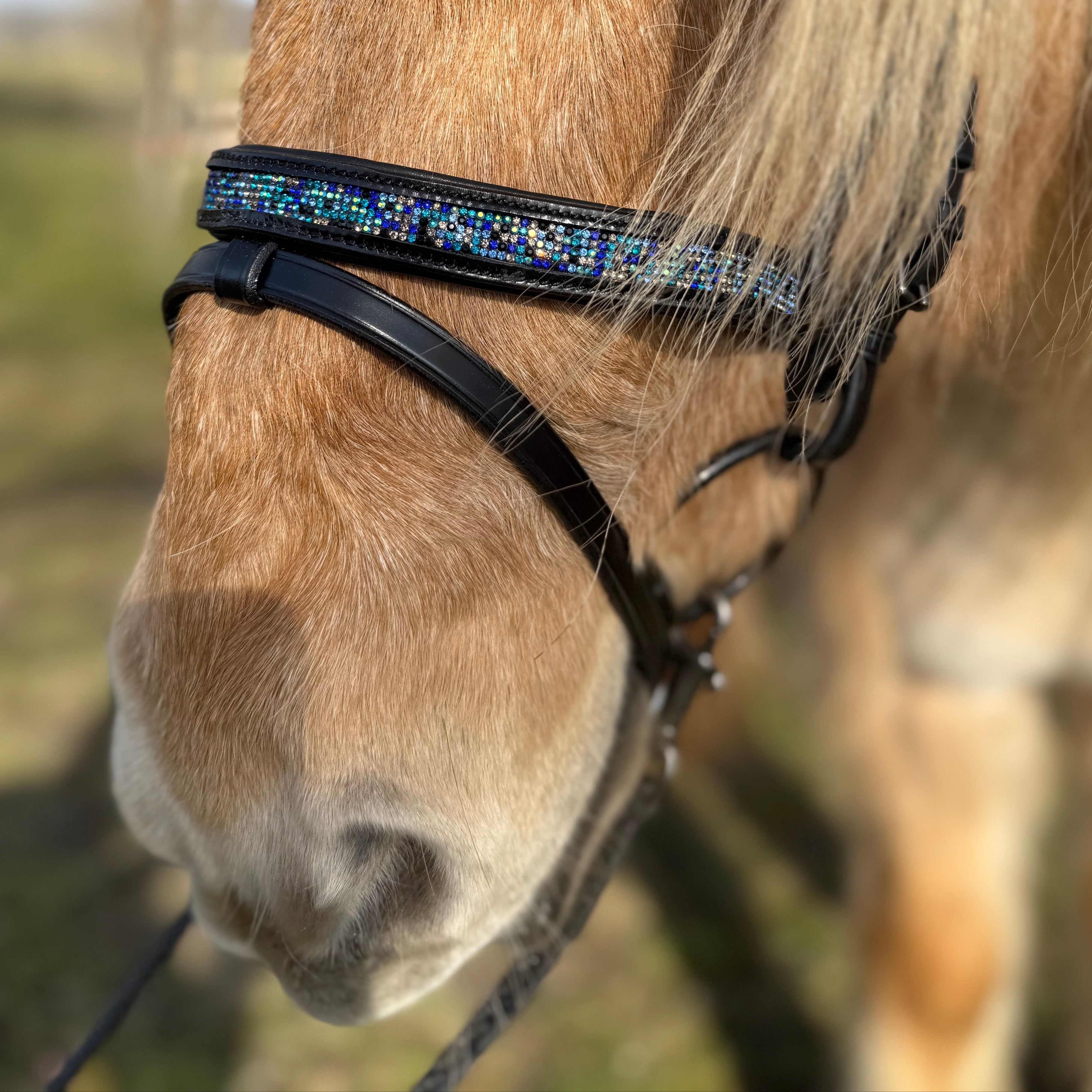 PH deluxe kombineret næserem blue magic - Aríus Icehorse Line