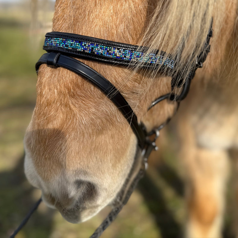 PH deluxe combined noseband blue magic