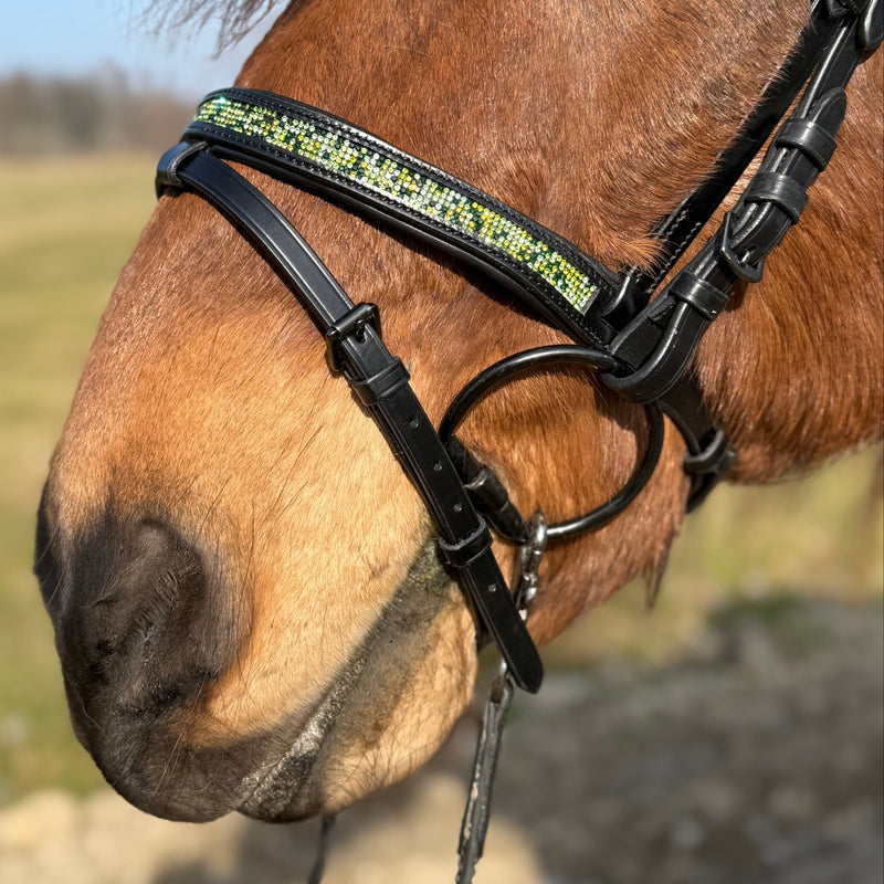 PH deluxe combined noseband green magic