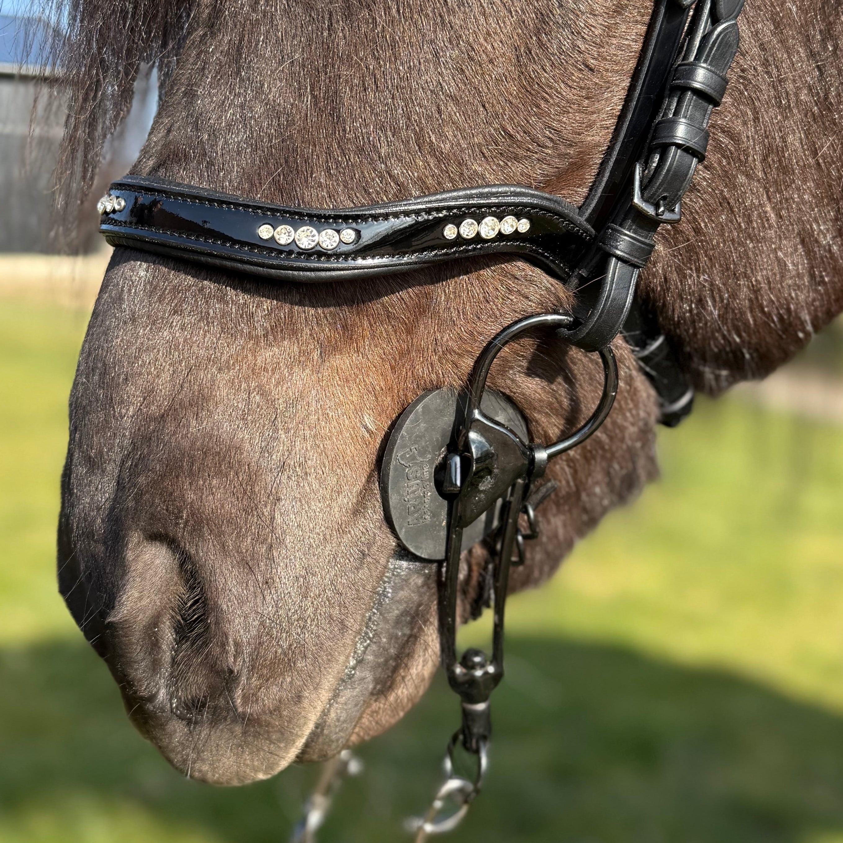 PH deluxe næserem engelsk anatomic 5 diamonds shine - Aríus Icehorse Line