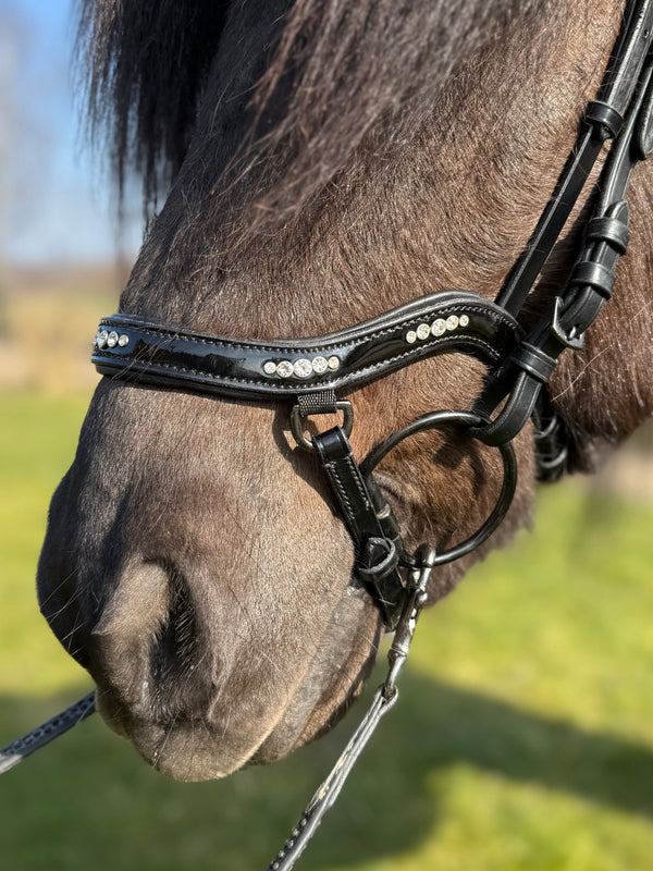 PH deluxe noseband "Anatomic" buckle 5 diamonds shine