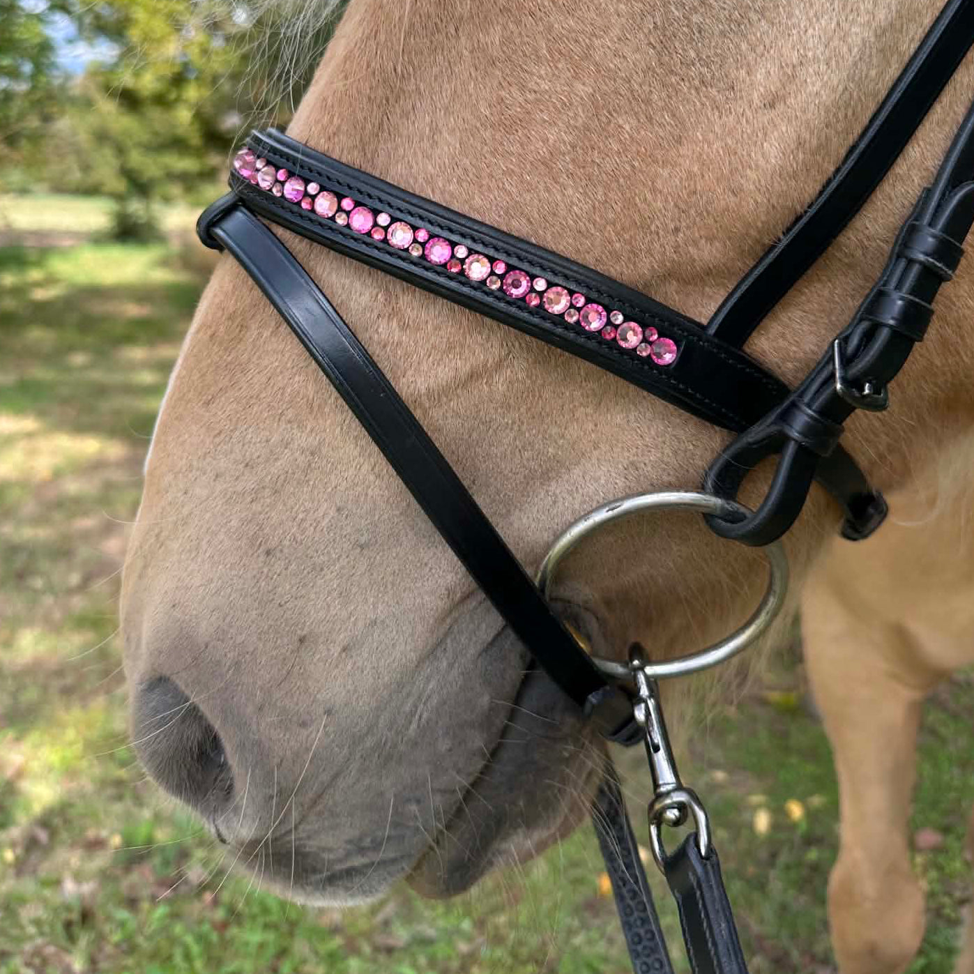 PH deluxe kombineret næserem moonstone pink