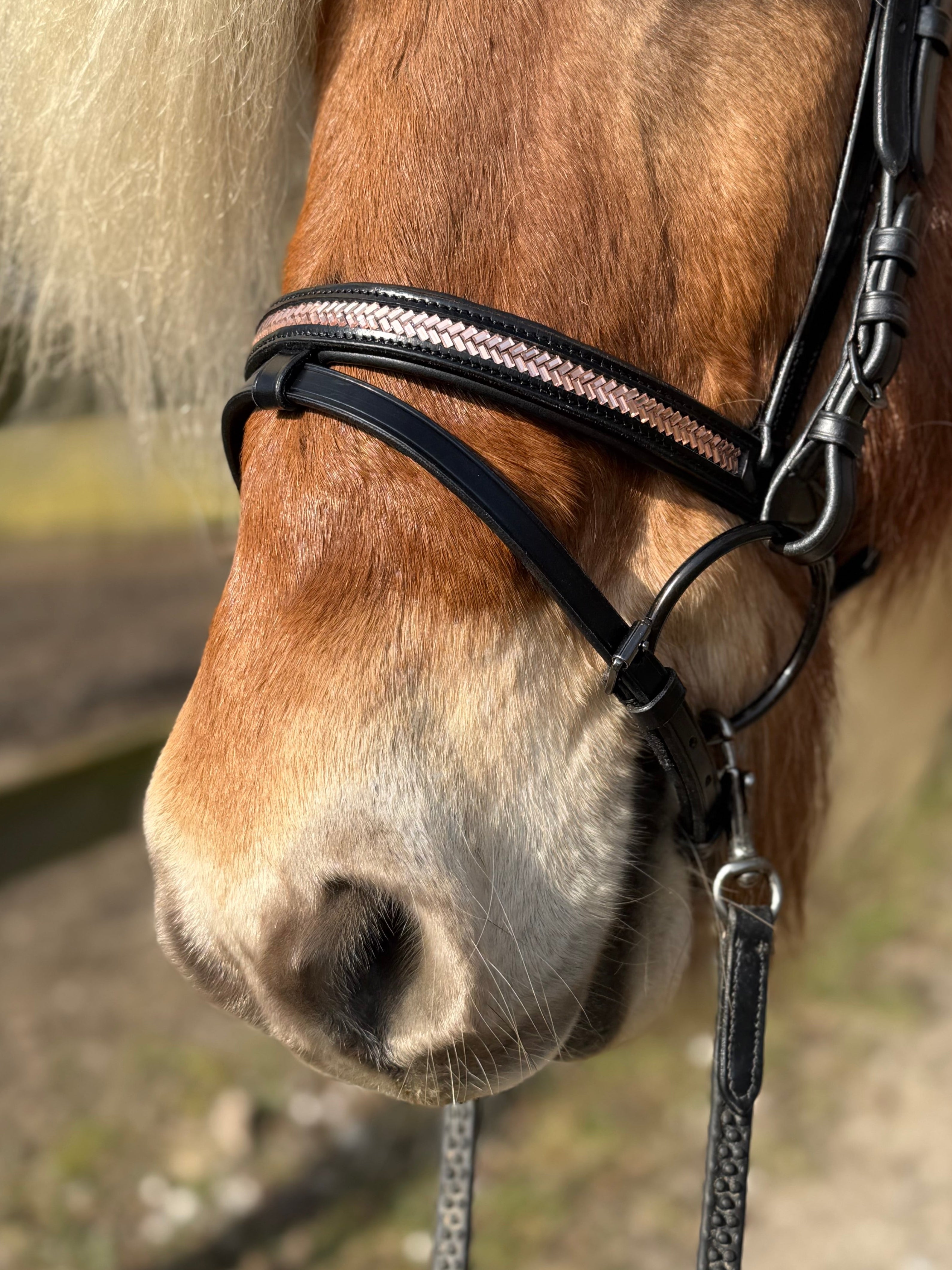 PH deluxe kombineret næserem arrow rosegold - Aríus Icehorse Line