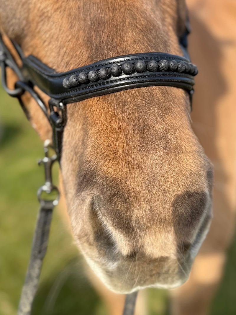 PH deluxe noseband "Anatomic" buckle black lava