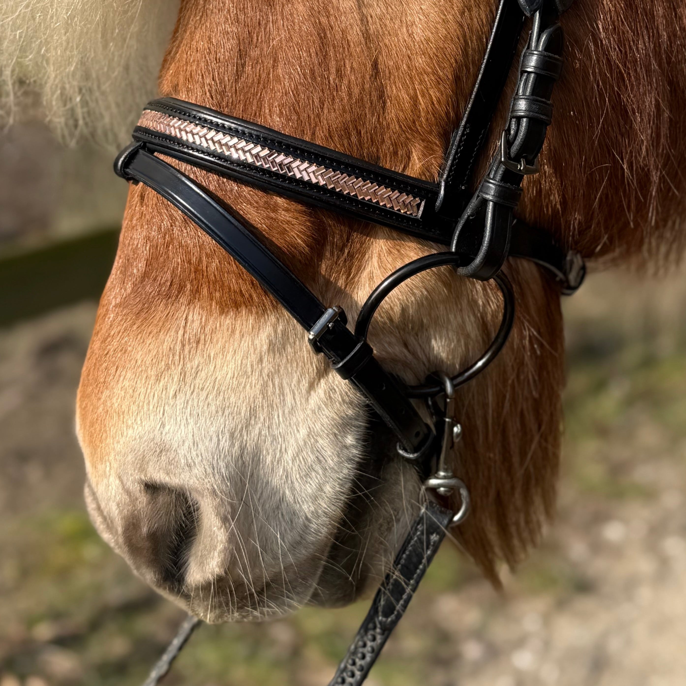PH deluxe kombineret næserem arrow rosegold - Aríus Icehorse Line