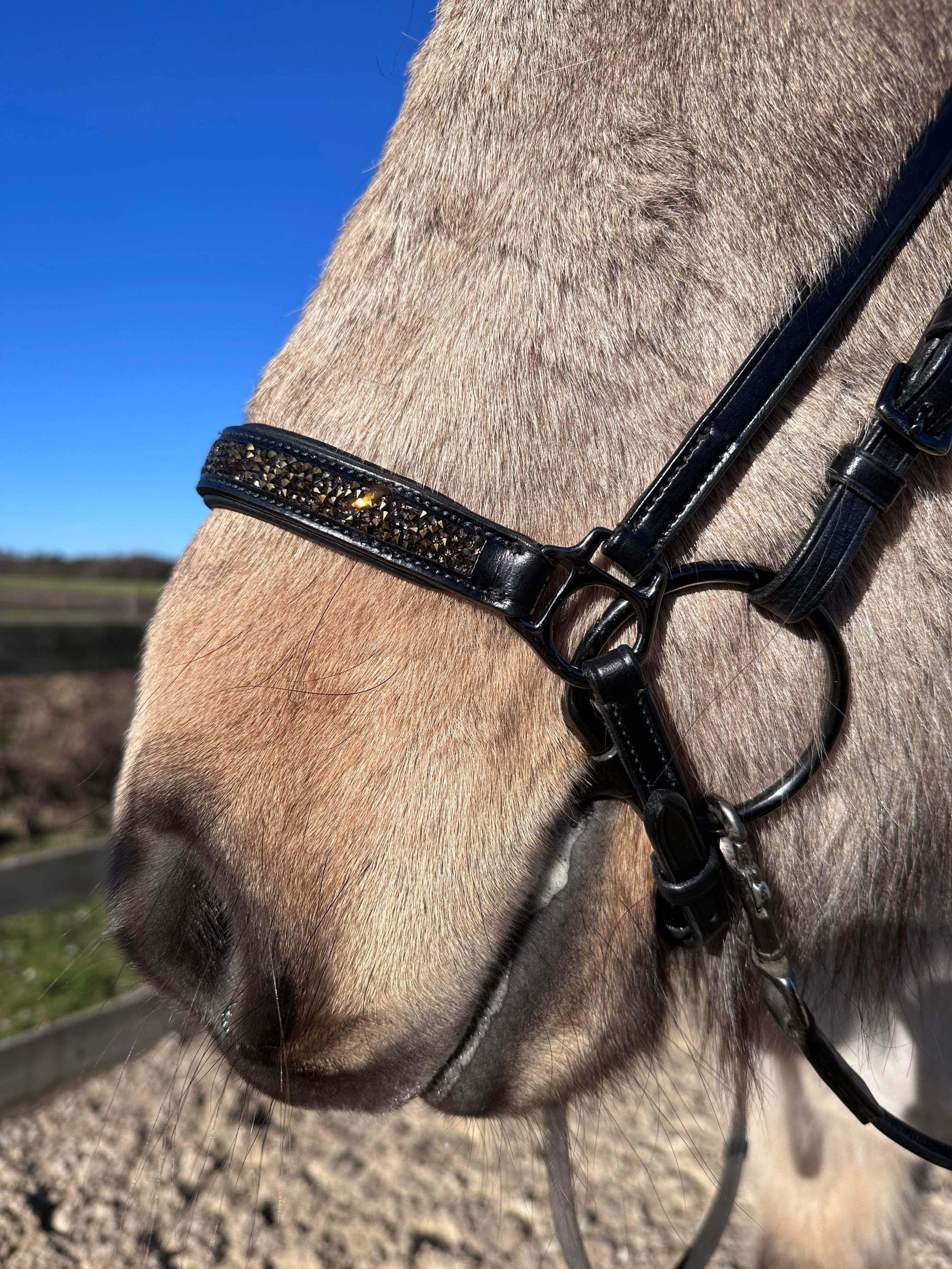 PH deluxe hannoveransk næserem rockcrystal gold - Aríus Icehorse Line