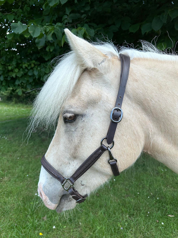 PH halter braid exclusive - brown