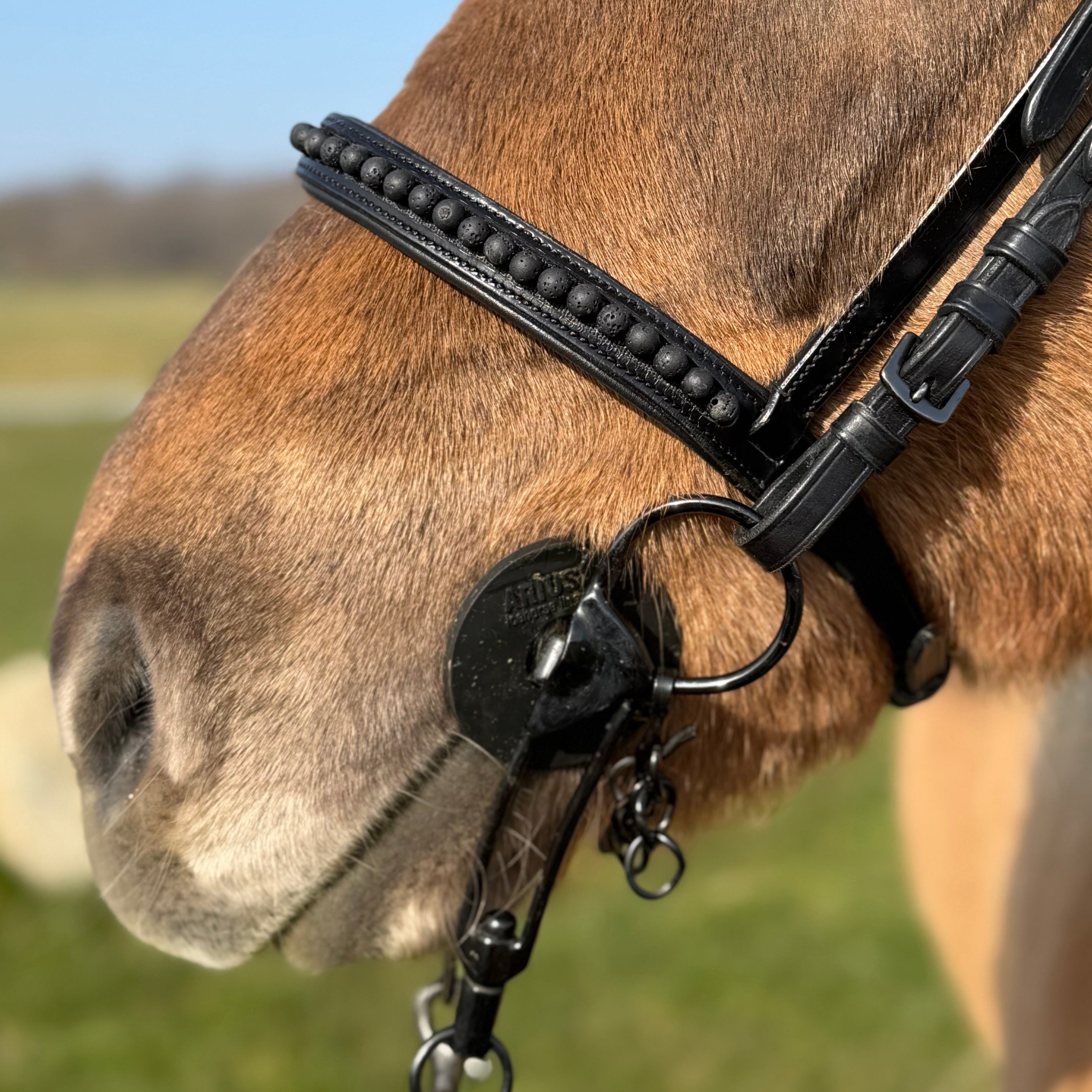 PH deluxe engelsk næserem black lava - Aríus Icehorse Line
