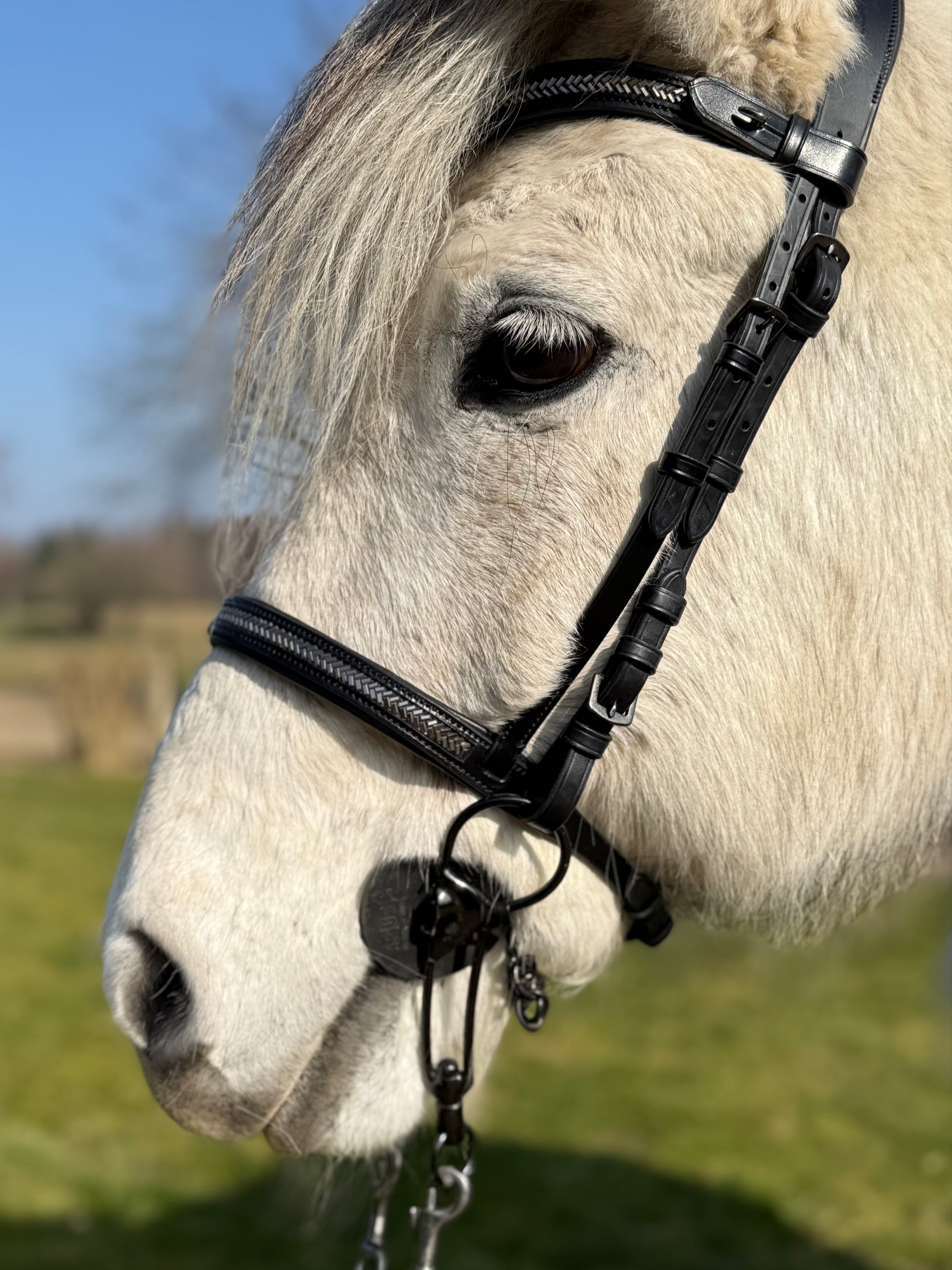 PH deluxe engelsk næserem arrow dark grey - Aríus Icehorse Line