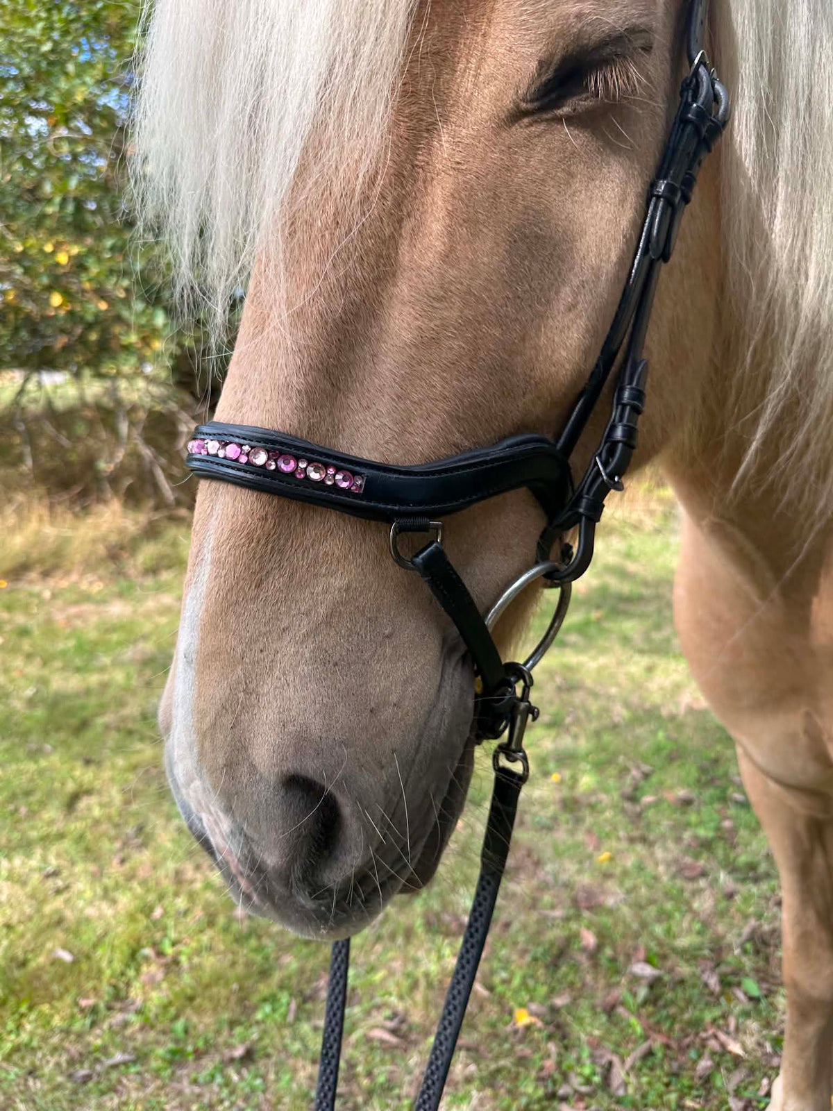 PH deluxe næsebånd "Anatomic" buckle moonstone pink