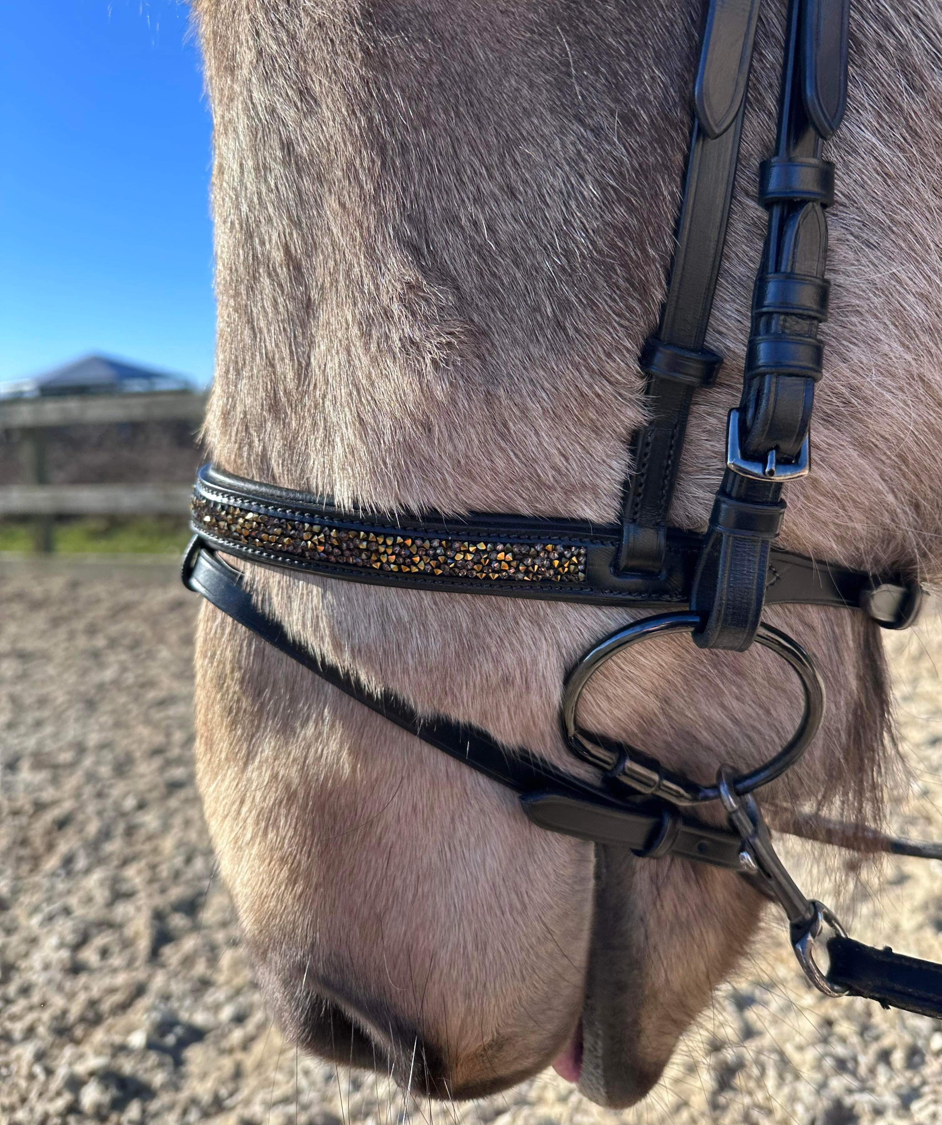 PH deluxe kombineret næserem rockcrystal gold - Aríus Icehorse Line