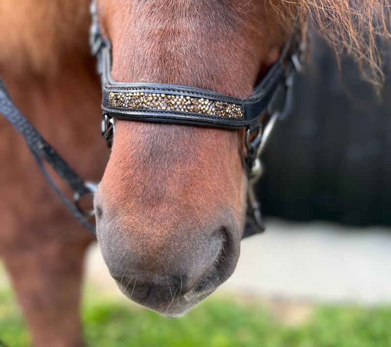 PH deluxe noseband "Anatomic" buckle rock crystal gold