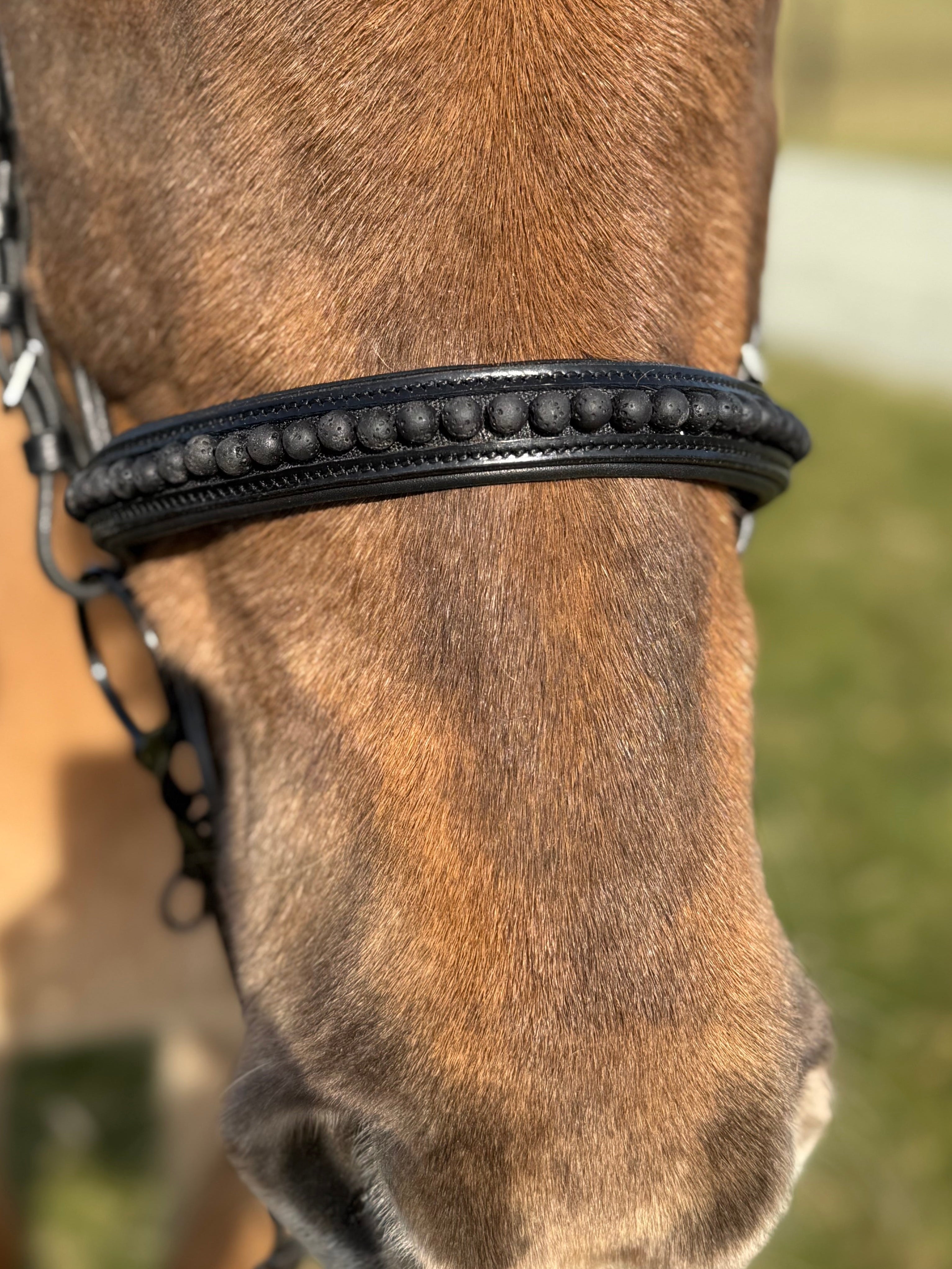 PH deluxe engelsk næserem black lava - Aríus Icehorse Line