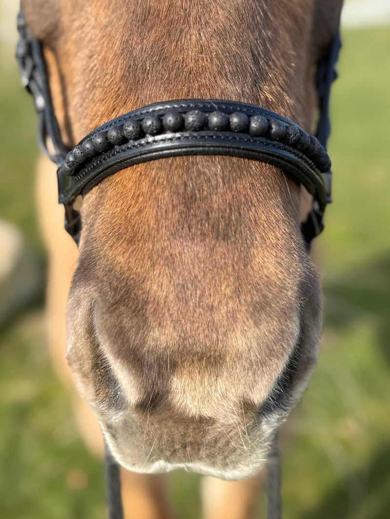 PH deluxe Hannoveranian noseband black lava