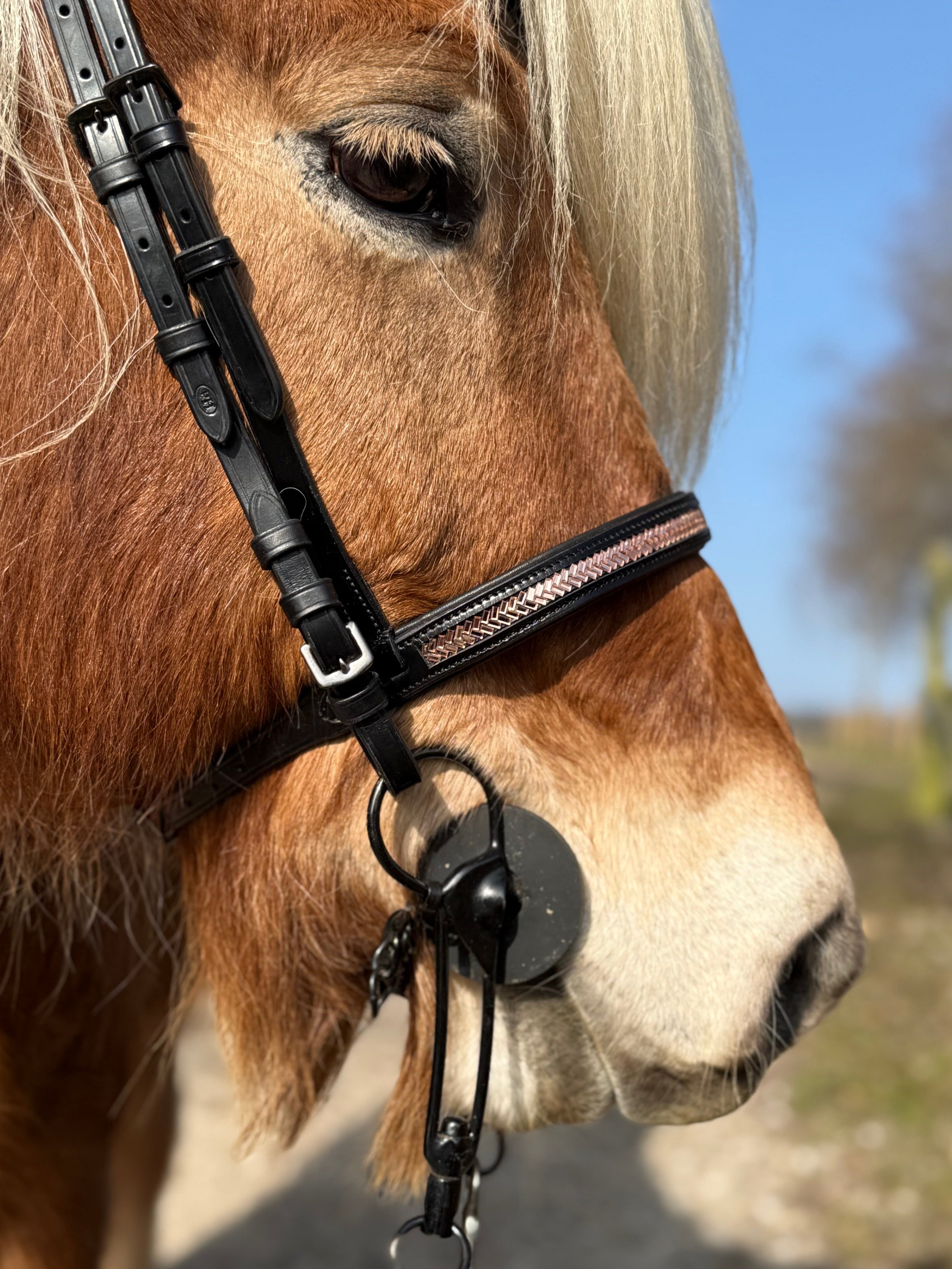 PH deluxe engelsk næserem arrow rosegold - Aríus Icehorse Line