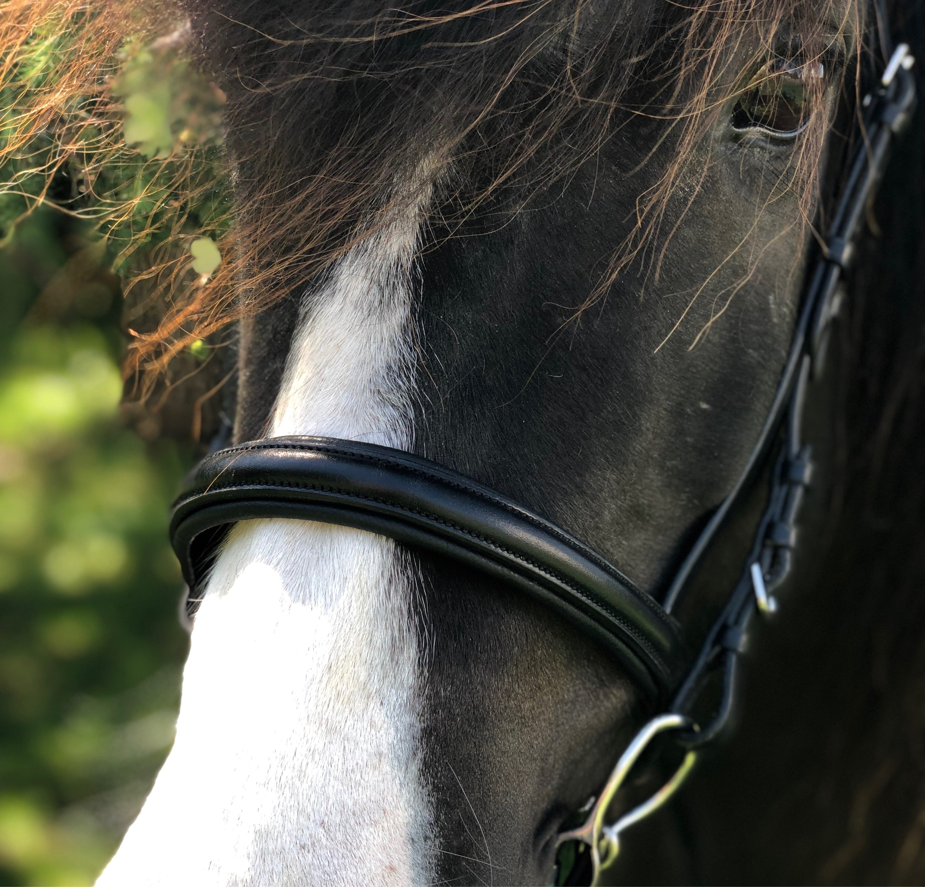 PH deluxe næserem engelsk - Aríus Icehorse Line