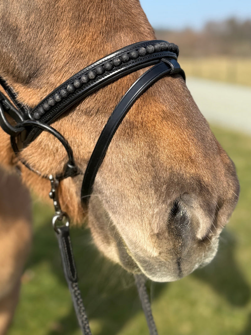 PH deluxe combined noseband black lava