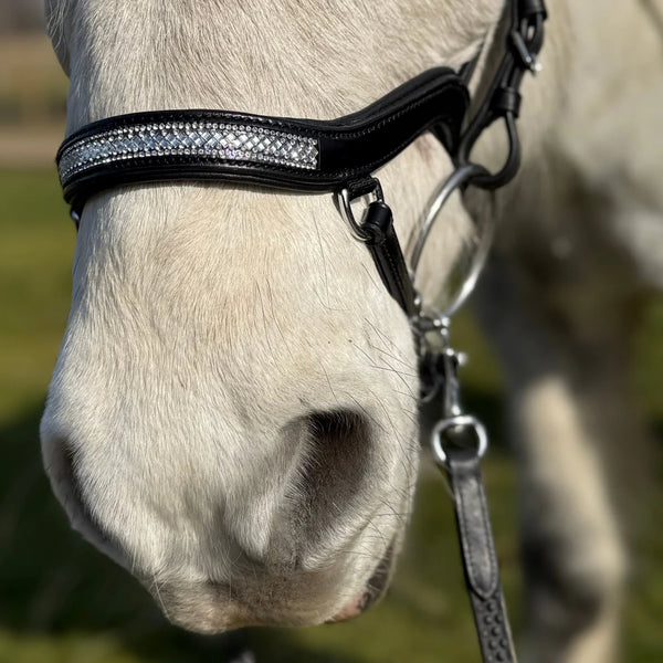 PH deluxe noseband "Anatomic" buckle glitter