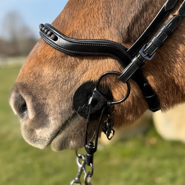 PH deluxe noseband English anatomical black lava