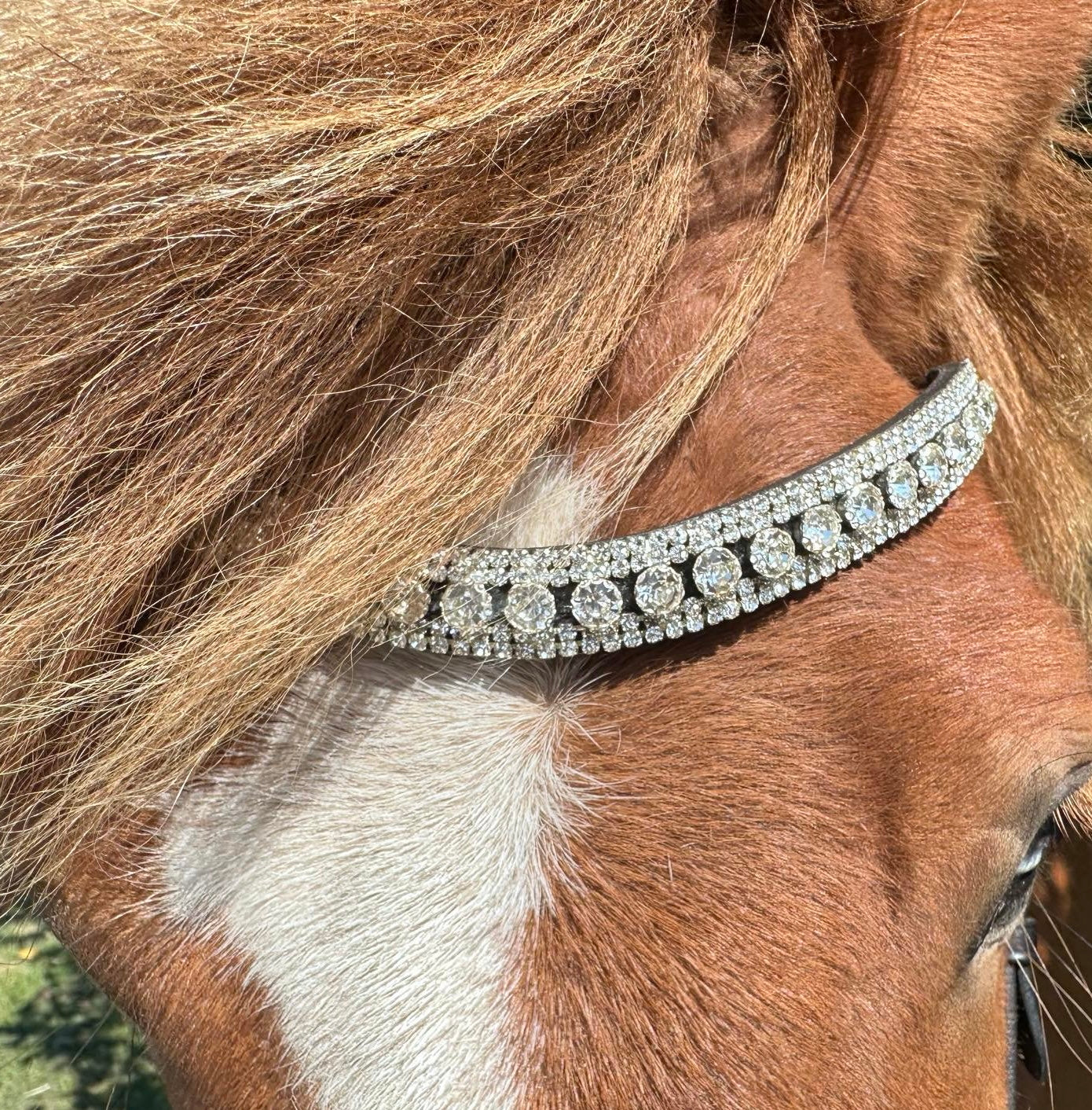 PH deluxe pandebånd brilliant white - Aríus Icehorse Line