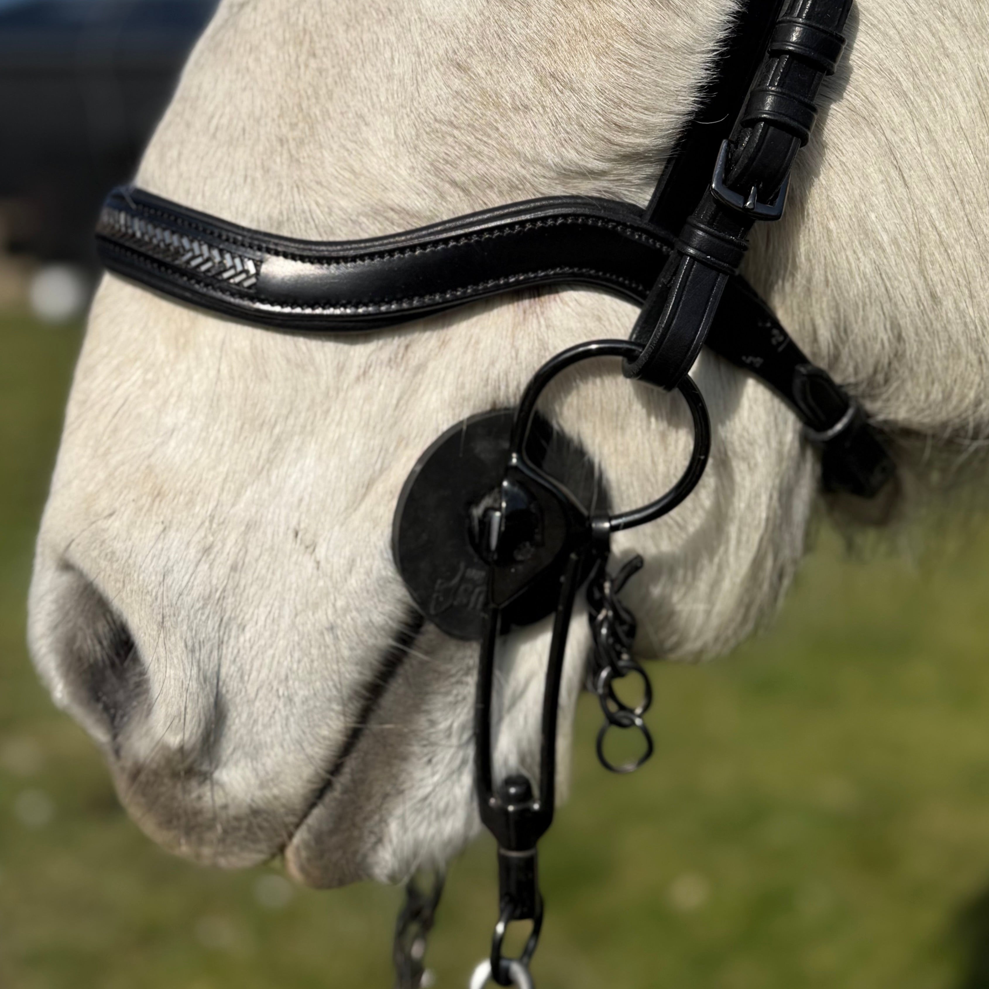 PH deluxe næserem engelsk anatomic arrow dark grey - Aríus Icehorse Line