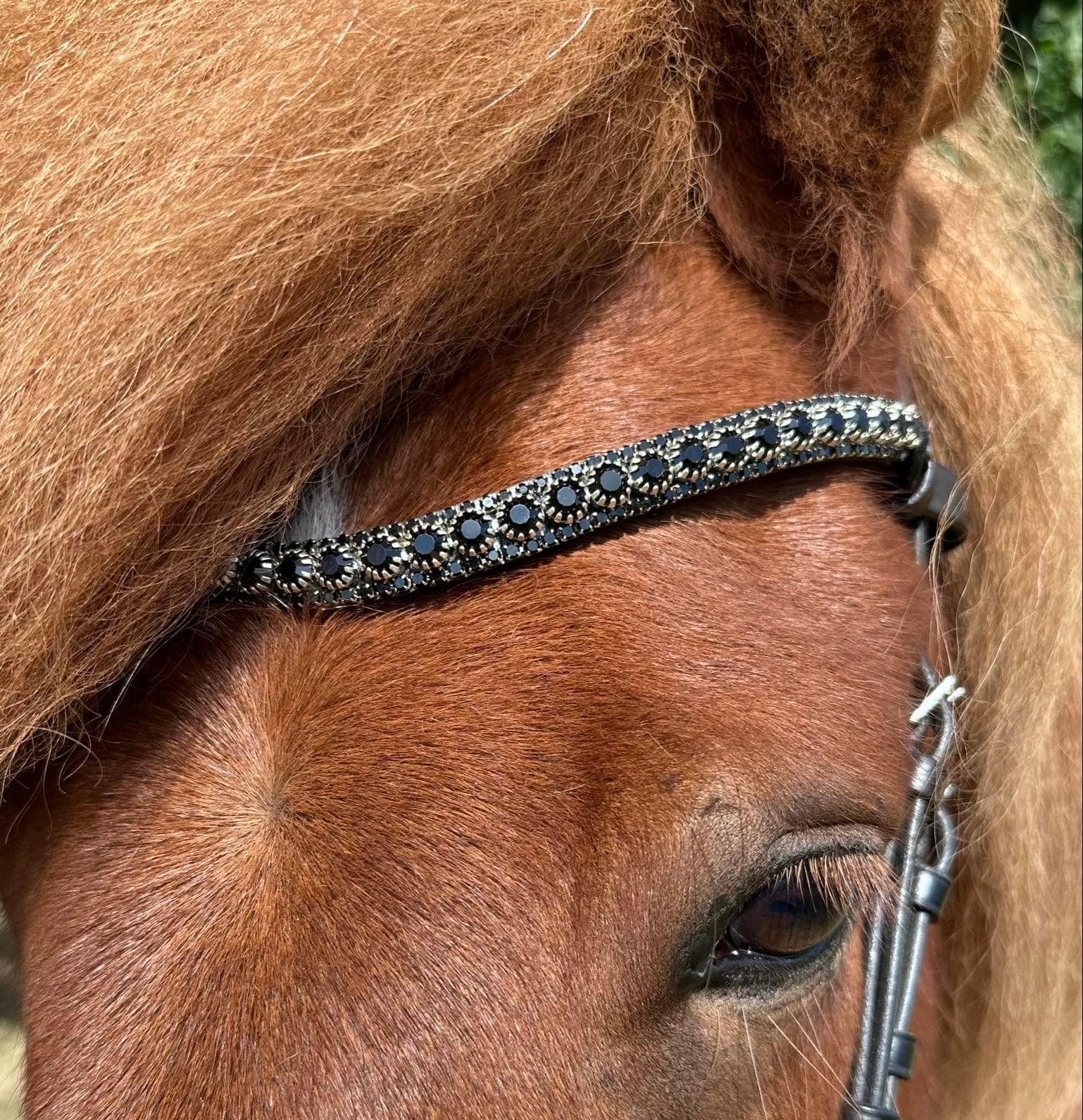 PH deluxe pandebånd diamond 3 rows black - Aríus Icehorse Line
