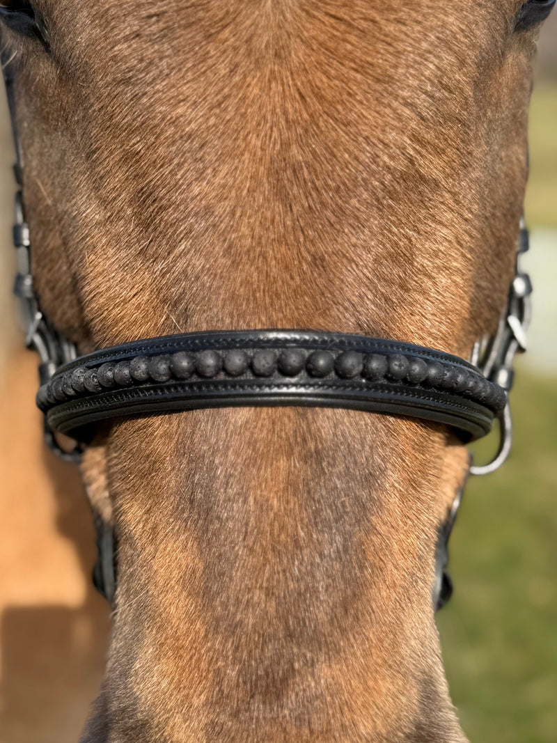 PH deluxe English noseband black lava