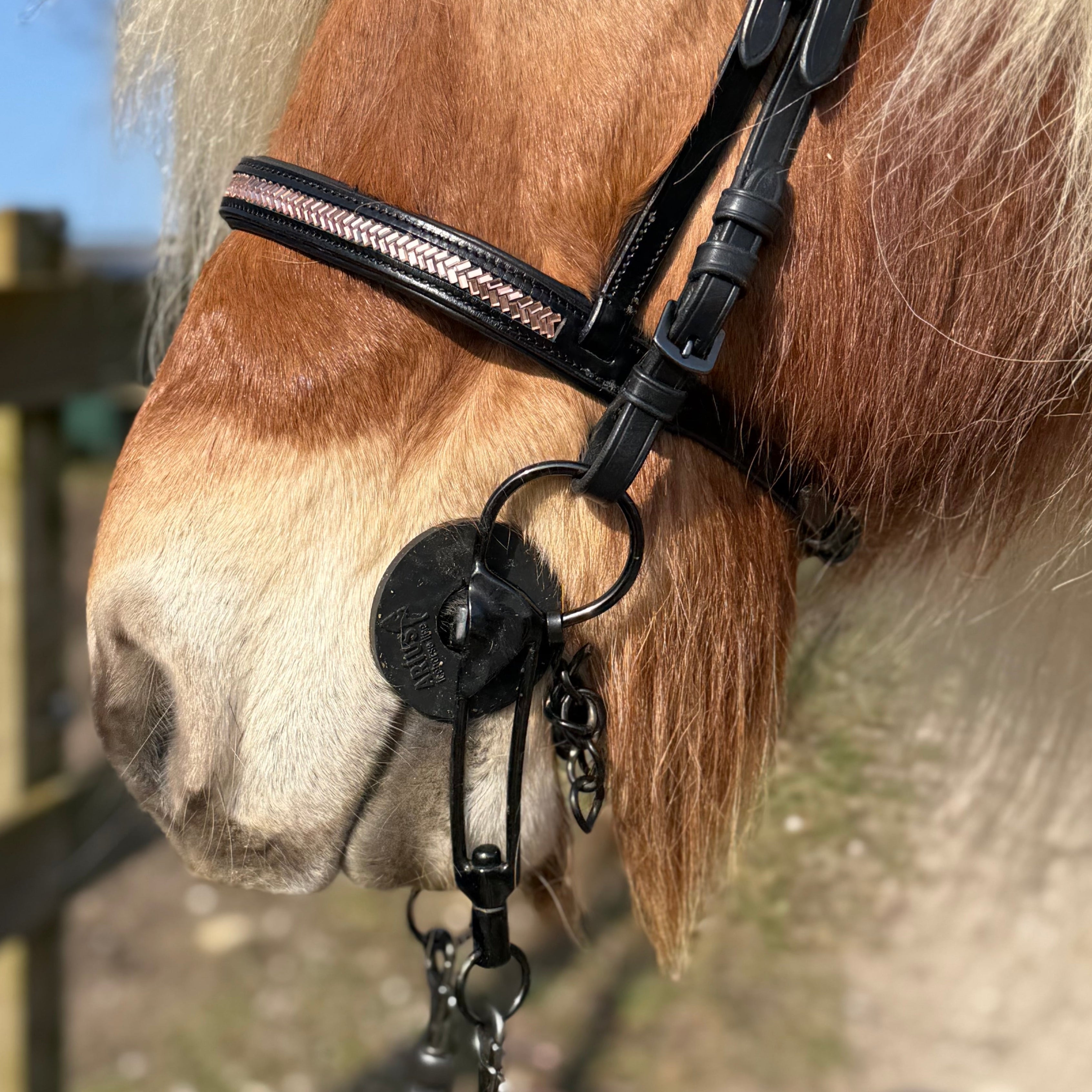 PH deluxe engelsk næserem arrow rosegold - Aríus Icehorse Line