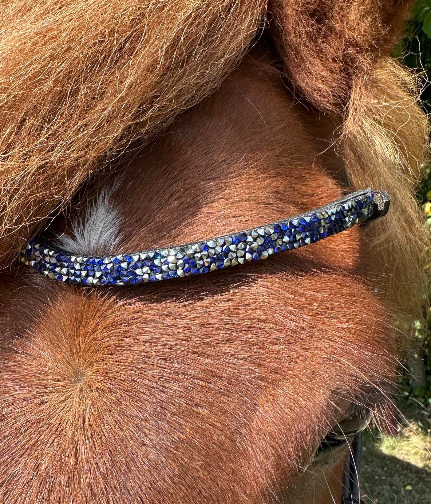PH deluxe pandebånd elegant blue mix - Aríus Icehorse Line