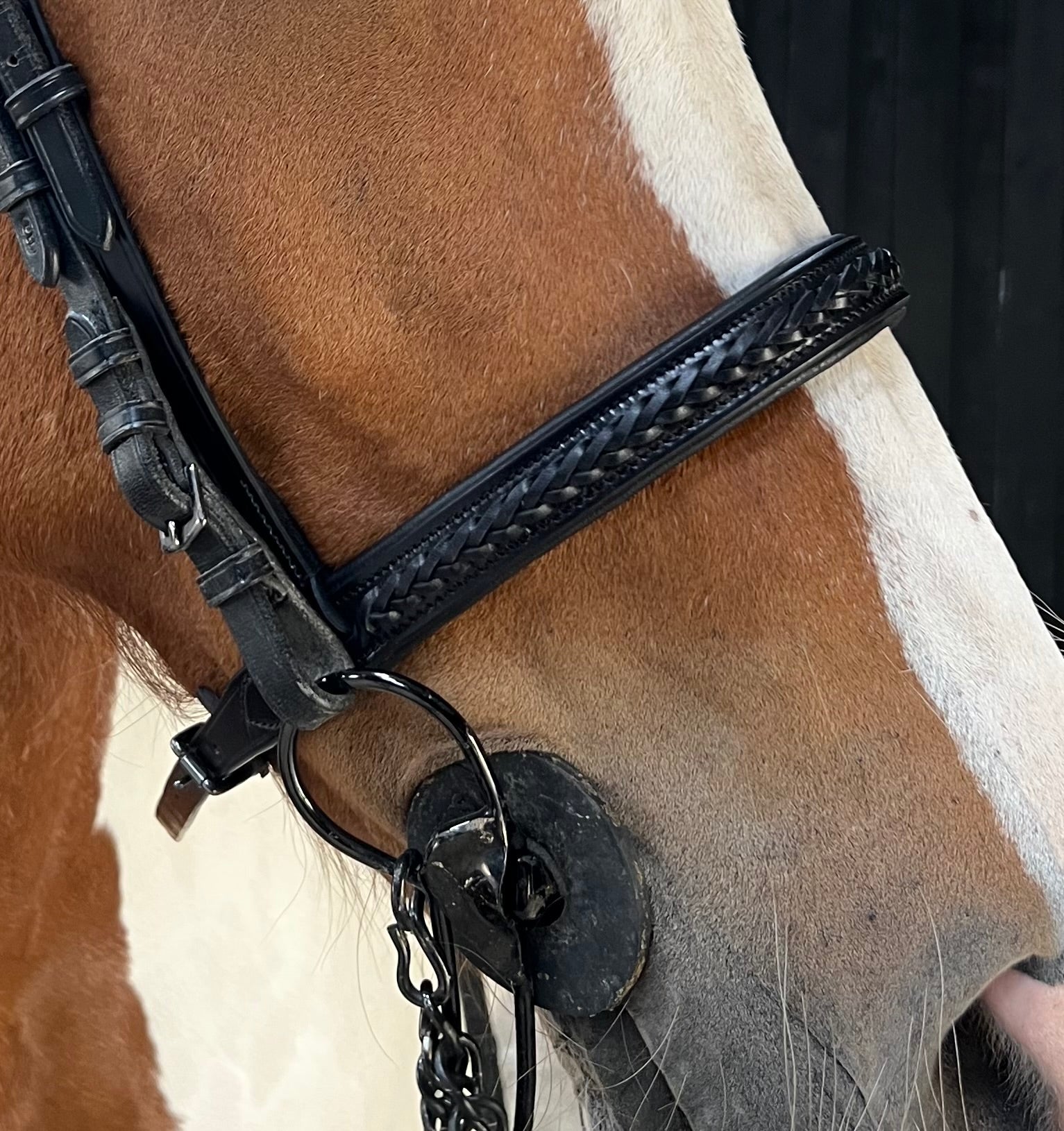 PH deluxe engelsk næserem braid exclusive - Aríus Icehorse Line