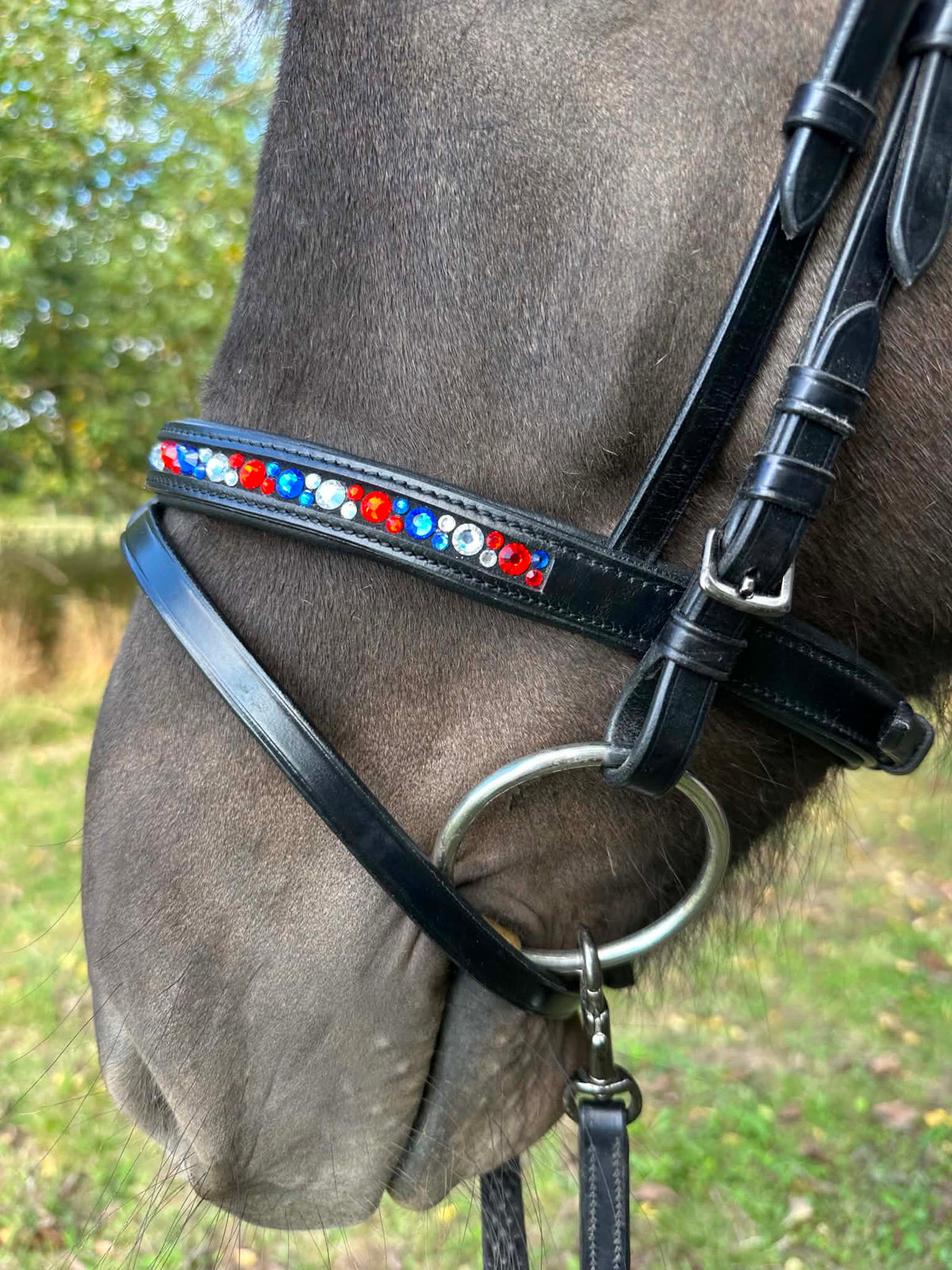 PH deluxe kombineret næserem moonstone icelandic