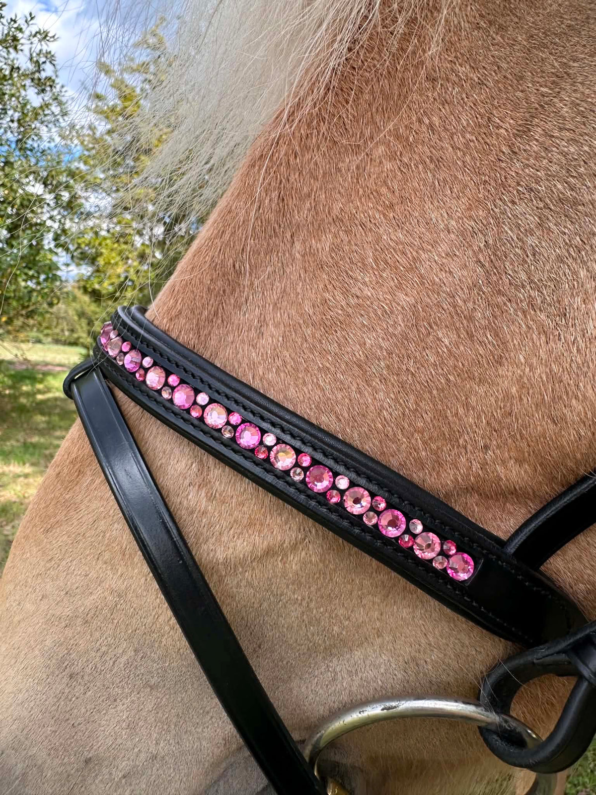 PH deluxe kombineret næserem moonstone pink