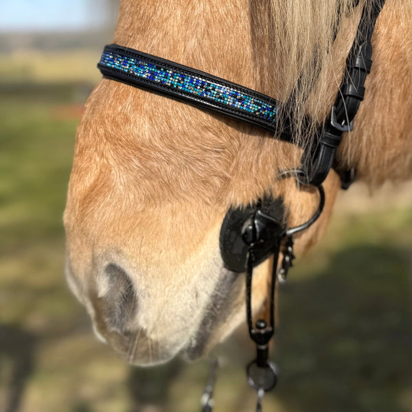 PH deluxe English noseband blue magic