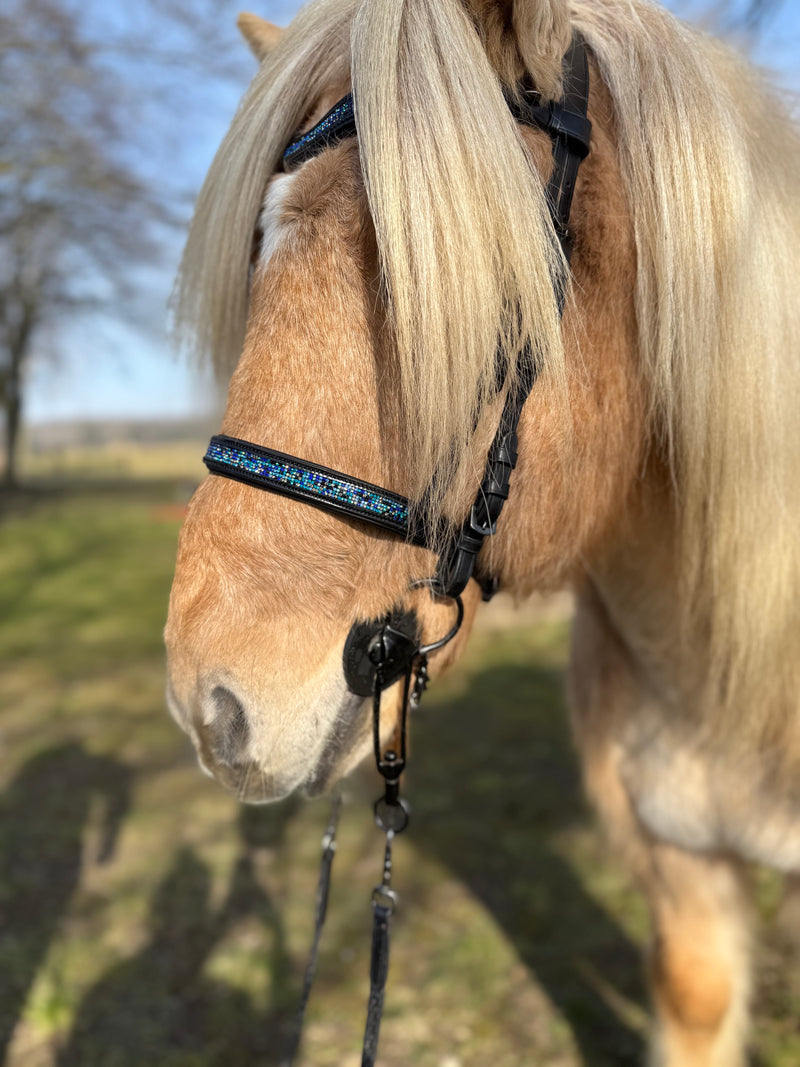 PH deluxe English noseband blue magic