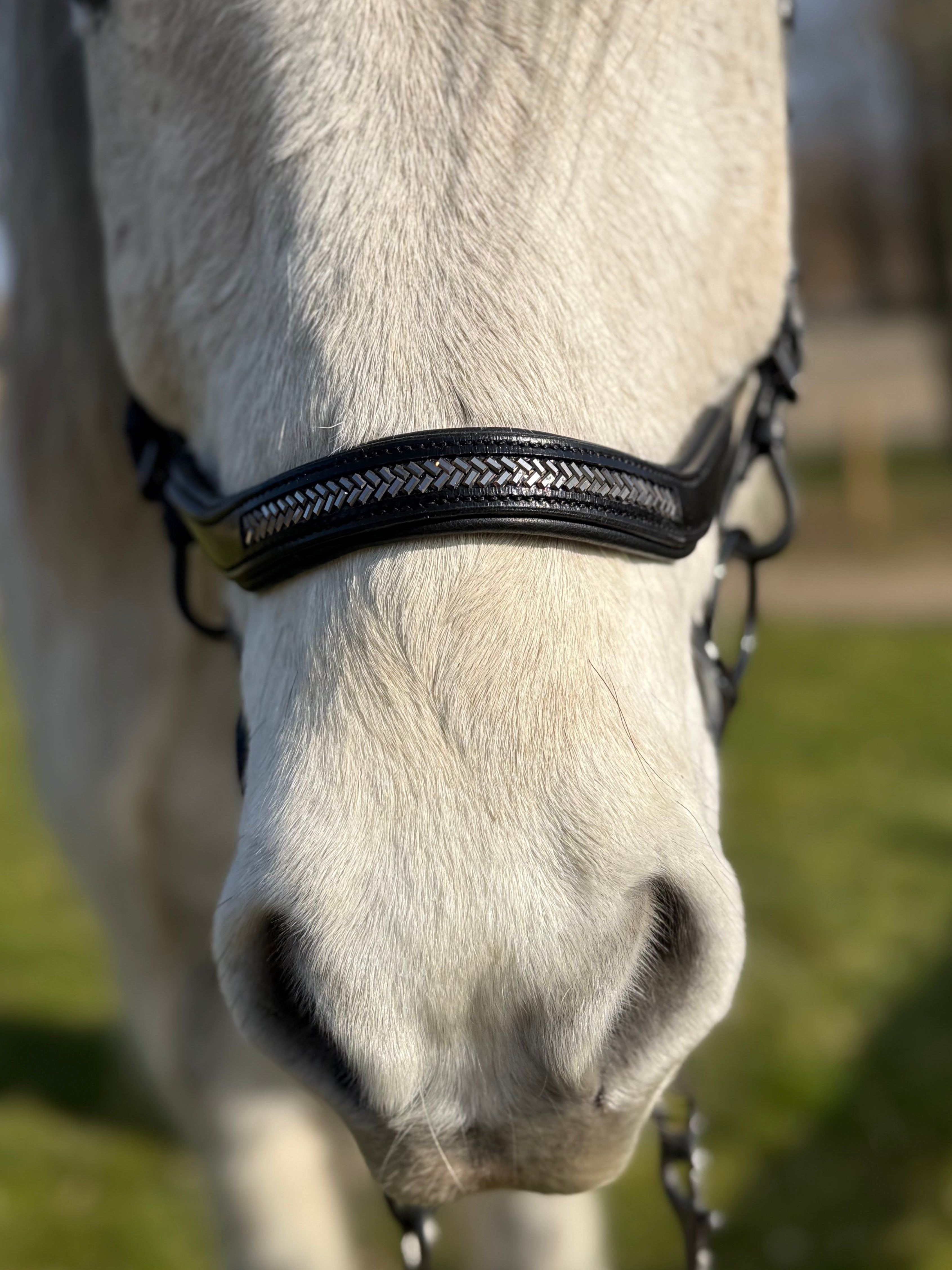 PH deluxe næserem engelsk anatomic arrow dark grey - Aríus Icehorse Line